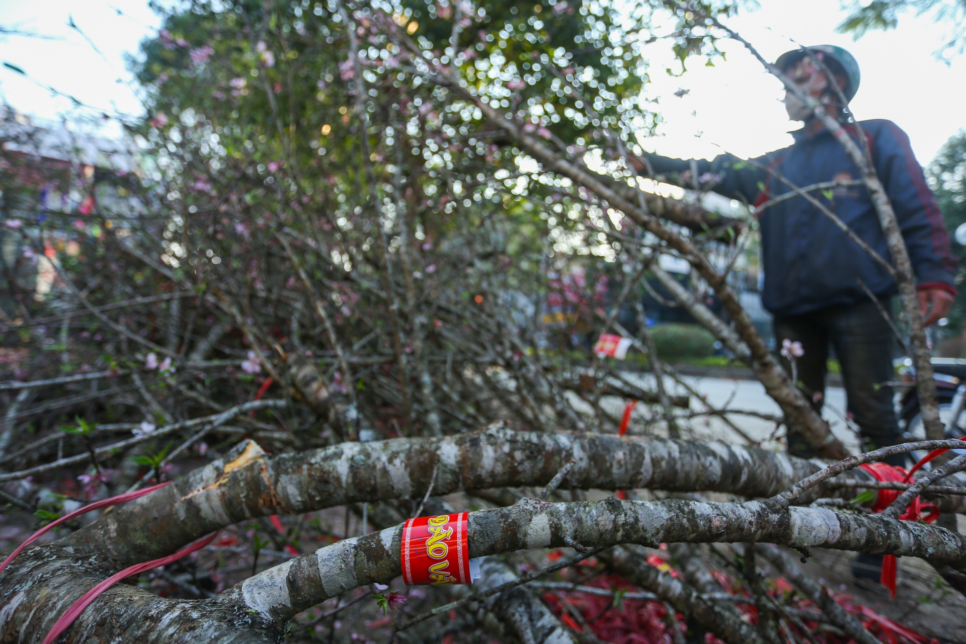 Tieu thuong khoc rong vi quat bi lay khong dua tien chieu 30 Tet anh 7