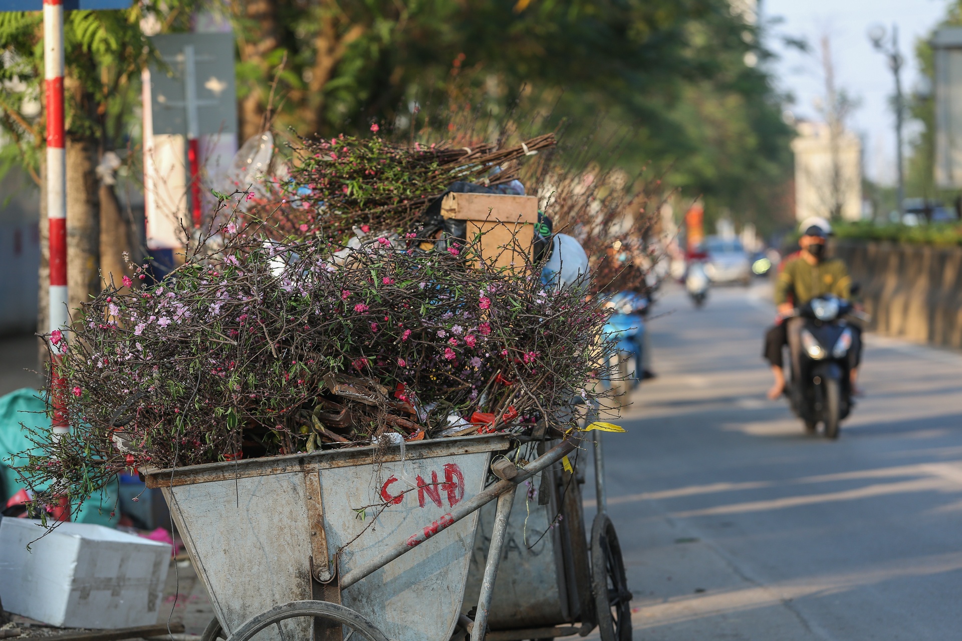 Tieu thuong khoc rong vi quat bi lay khong dua tien chieu 30 Tet anh 8