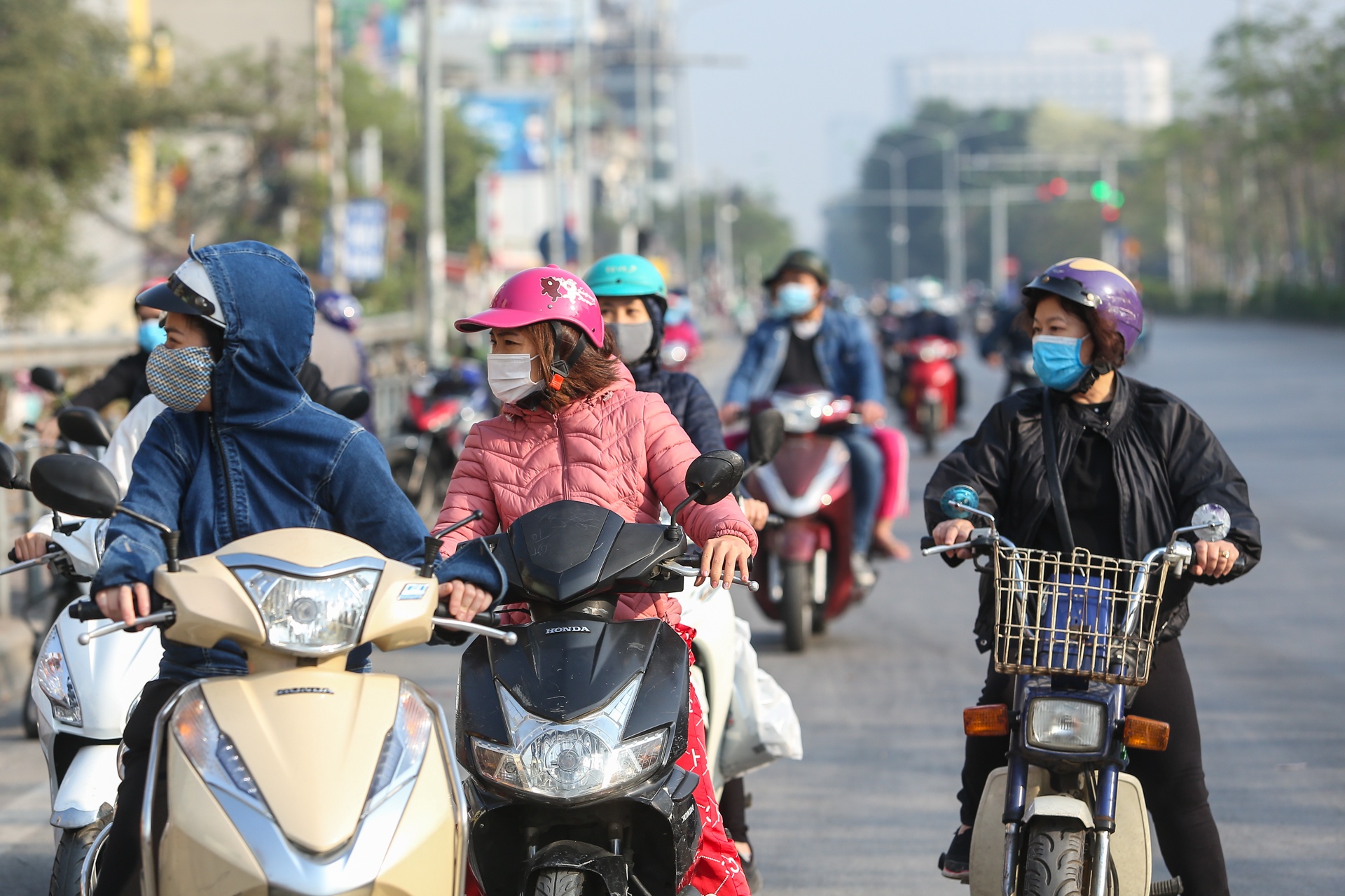 Nguoi Ha Noi chung tay giai cuu nong san anh 11