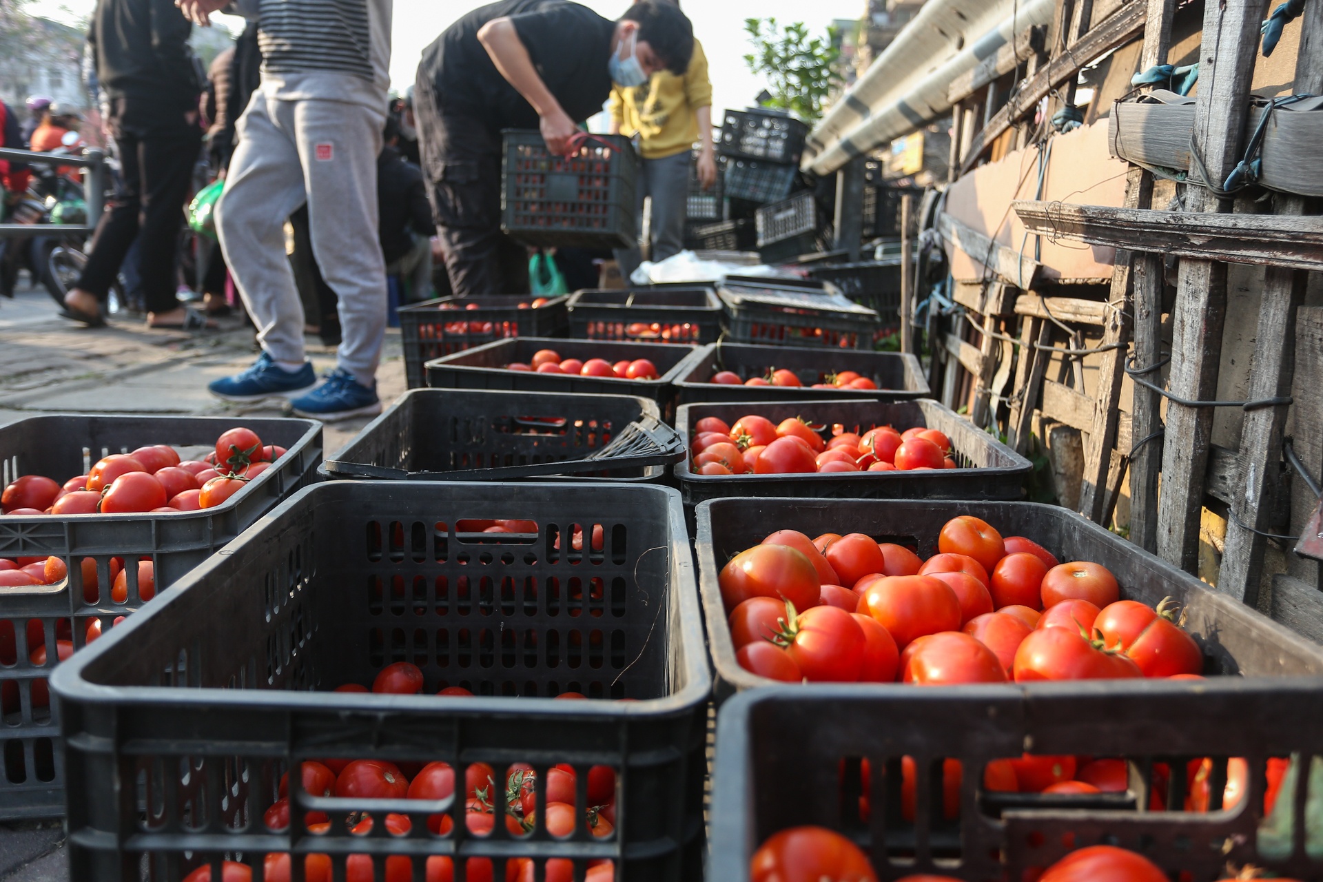 Nguoi Ha Noi chung tay giai cuu nong san anh 4