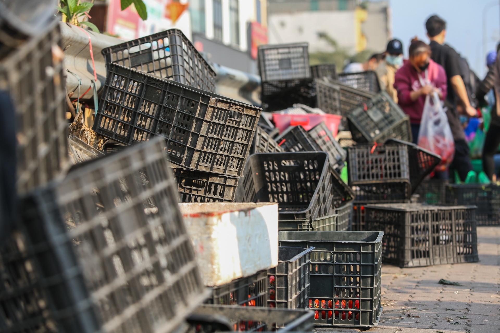 Nguoi Ha Noi chung tay giai cuu nong san anh 9