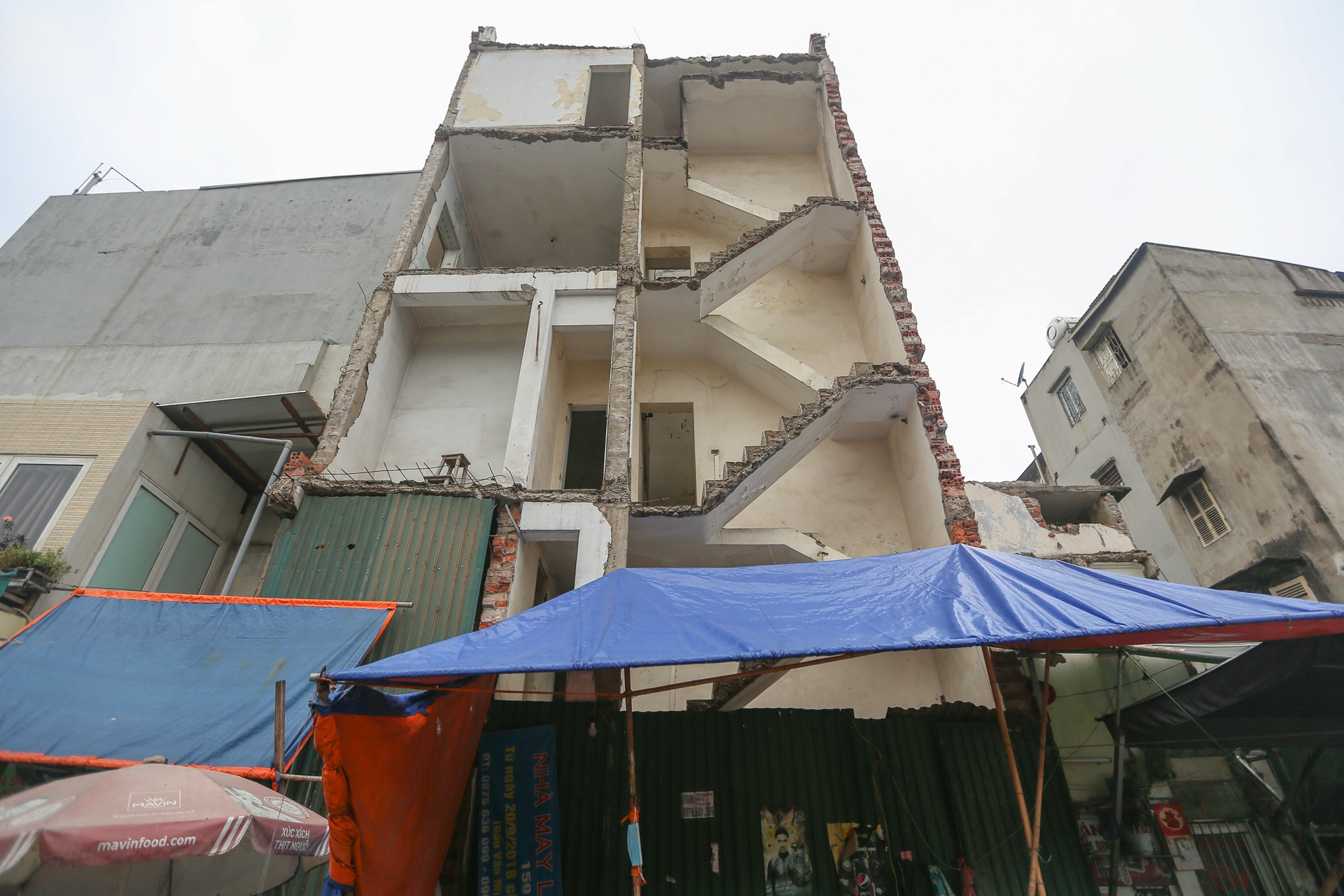 nha sieu mong,  sieu meo lai xuat hien o Ha Noi anh 2