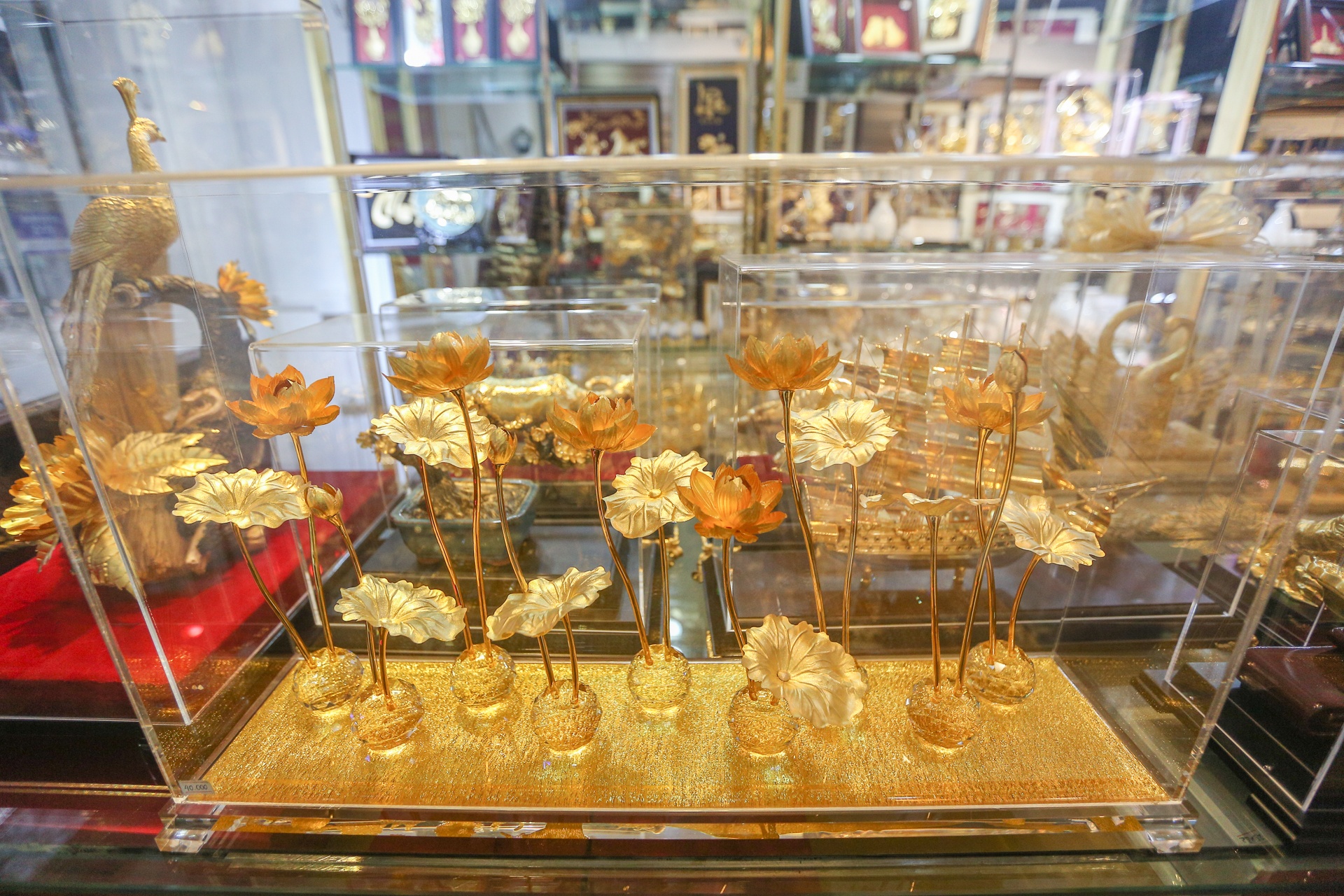 Hoa ma vang ngay 8/3 anh 6