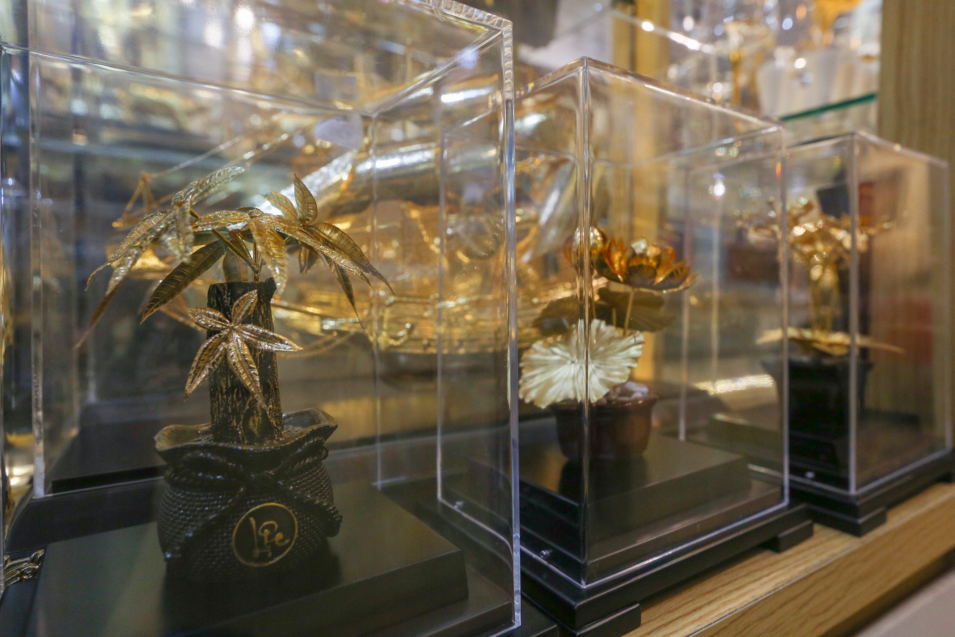 Hoa ma vang ngay 8/3 anh 7