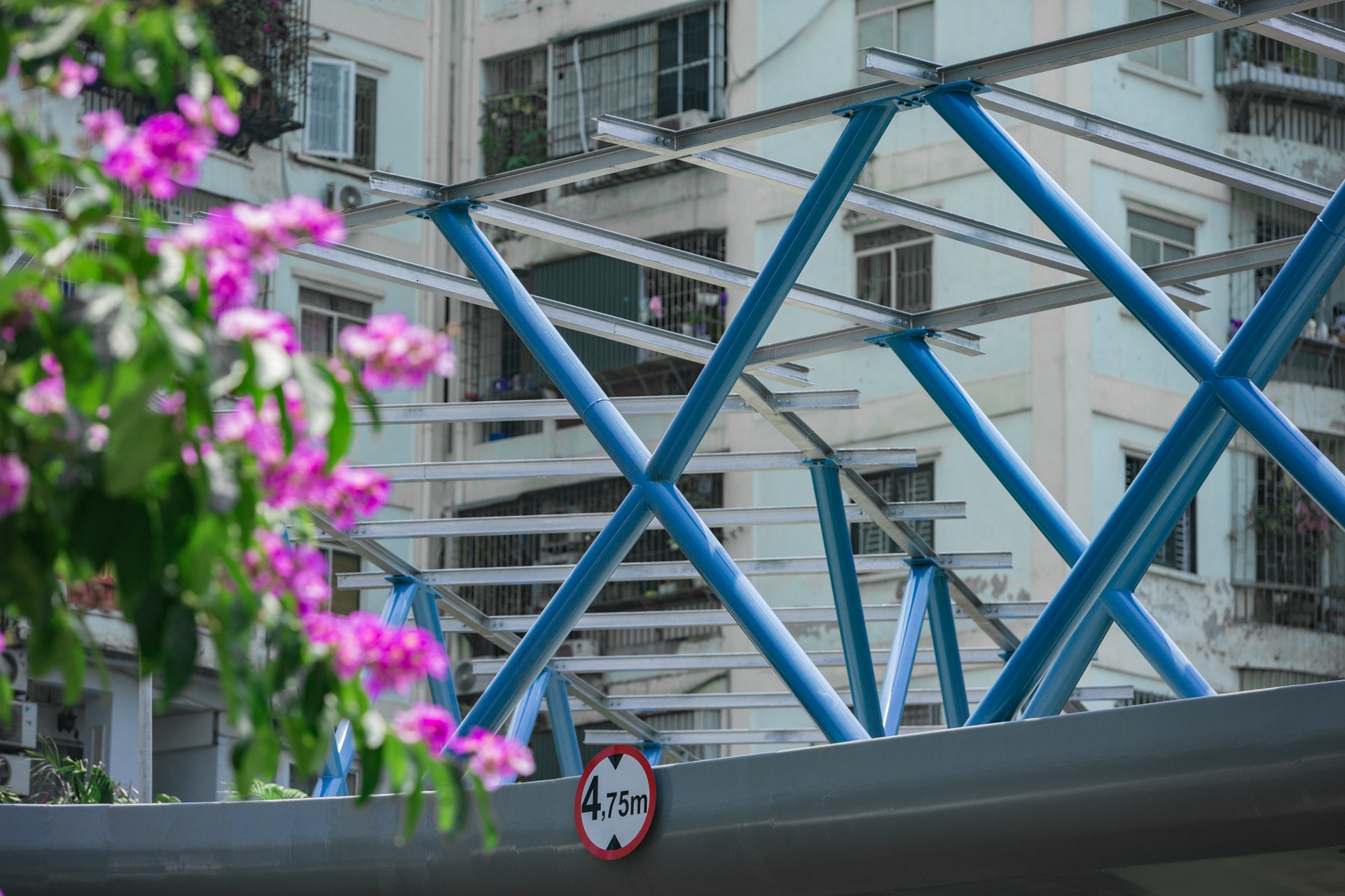 Cau vuot bo hanh chu Y dau tien o Ha Noi anh 5