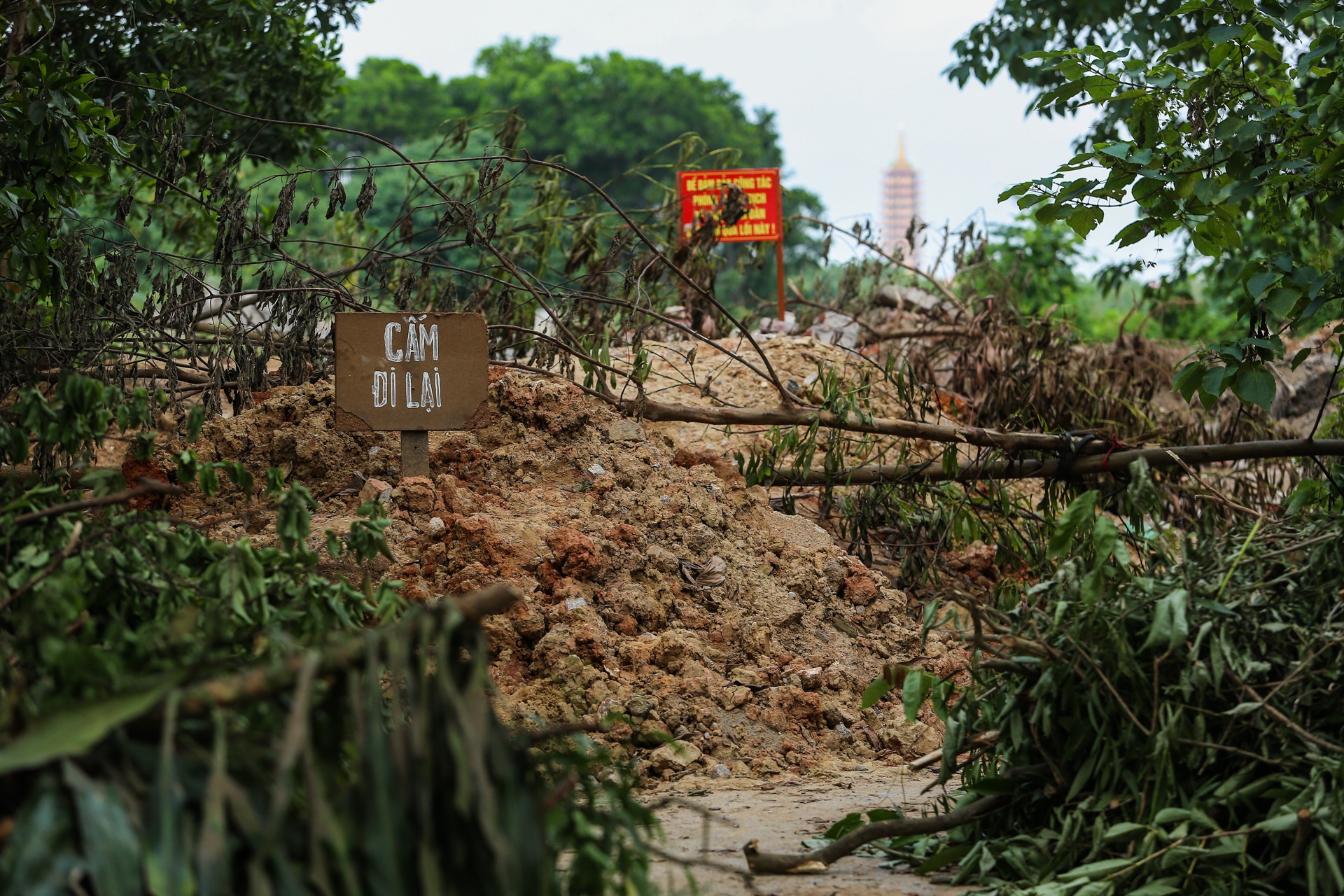 Hang loat chot chan phong dich o ngoai thanh Ha Noi anh 10