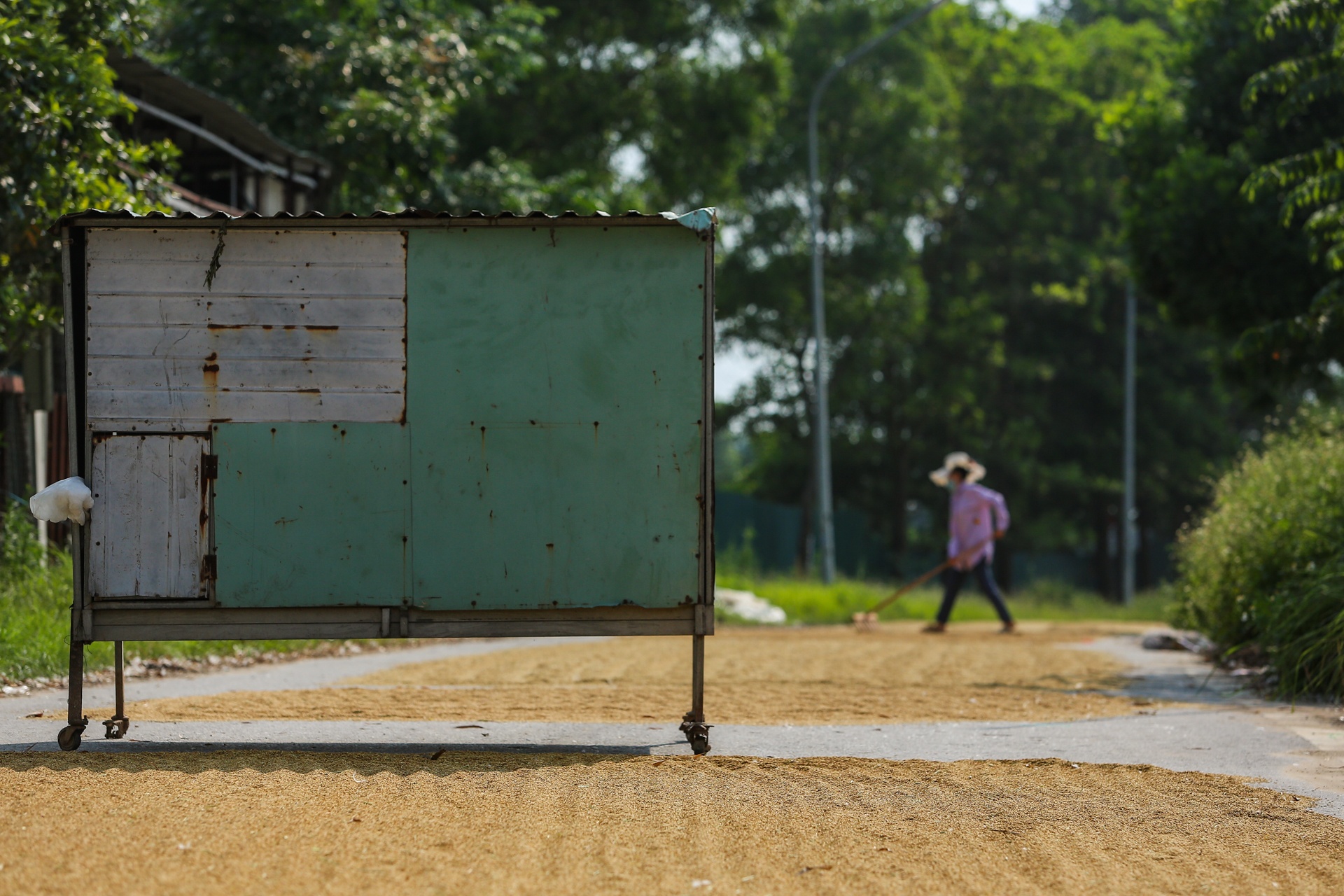 Hang loat chot chan phong dich o ngoai thanh Ha Noi anh 11