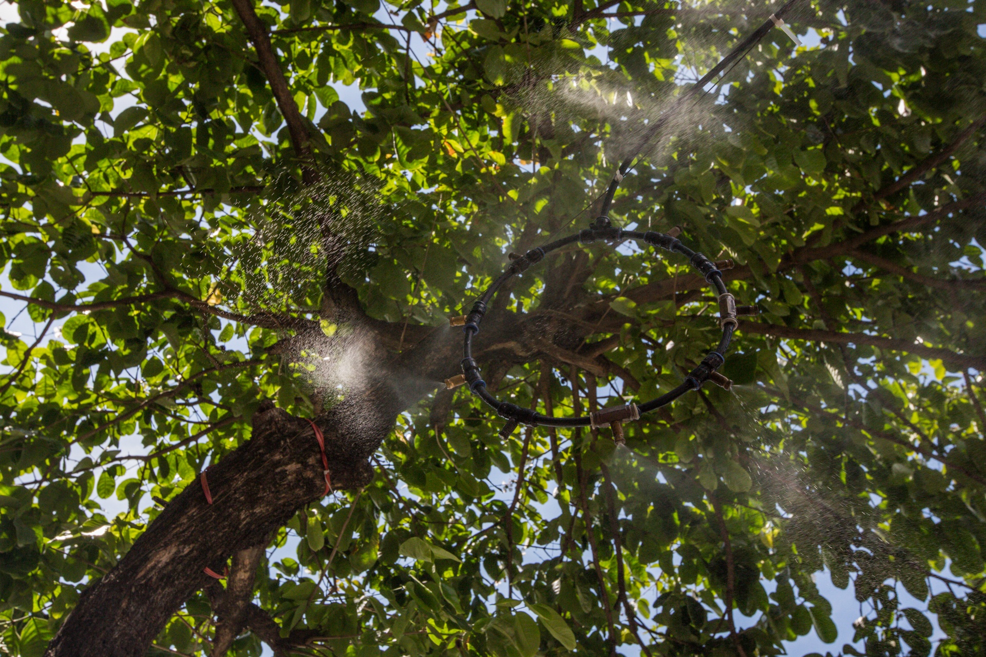 Ha Noi nang nong 50 do anh 9