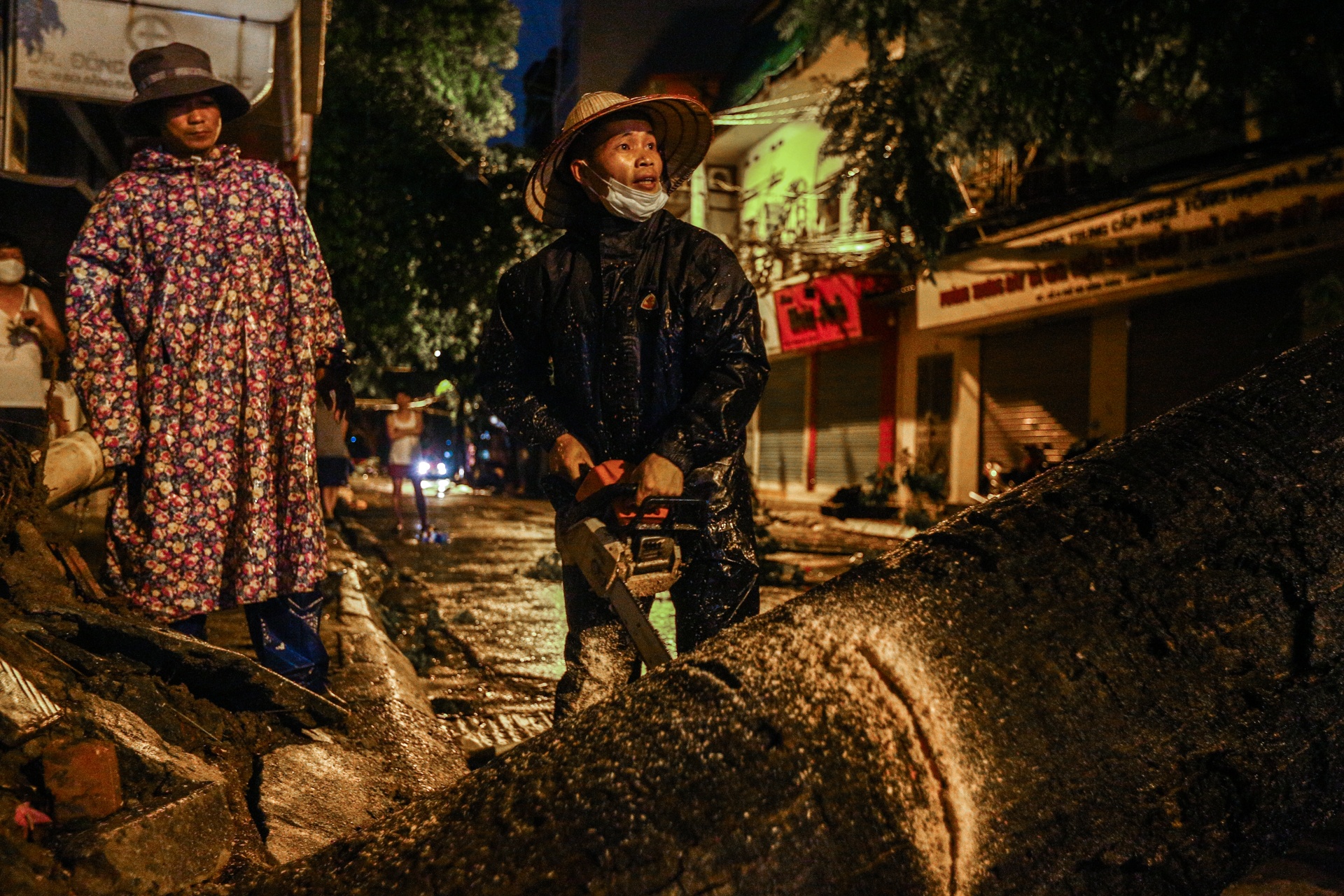 Cay xanh bat goc de bep xe taxi trong mua lon anh 7