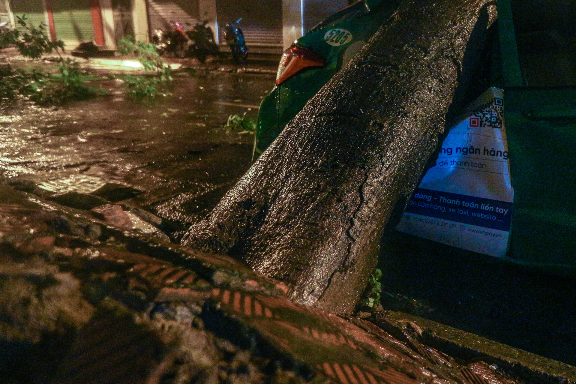 Cay xanh bat goc de bep xe taxi trong mua lon anh 2