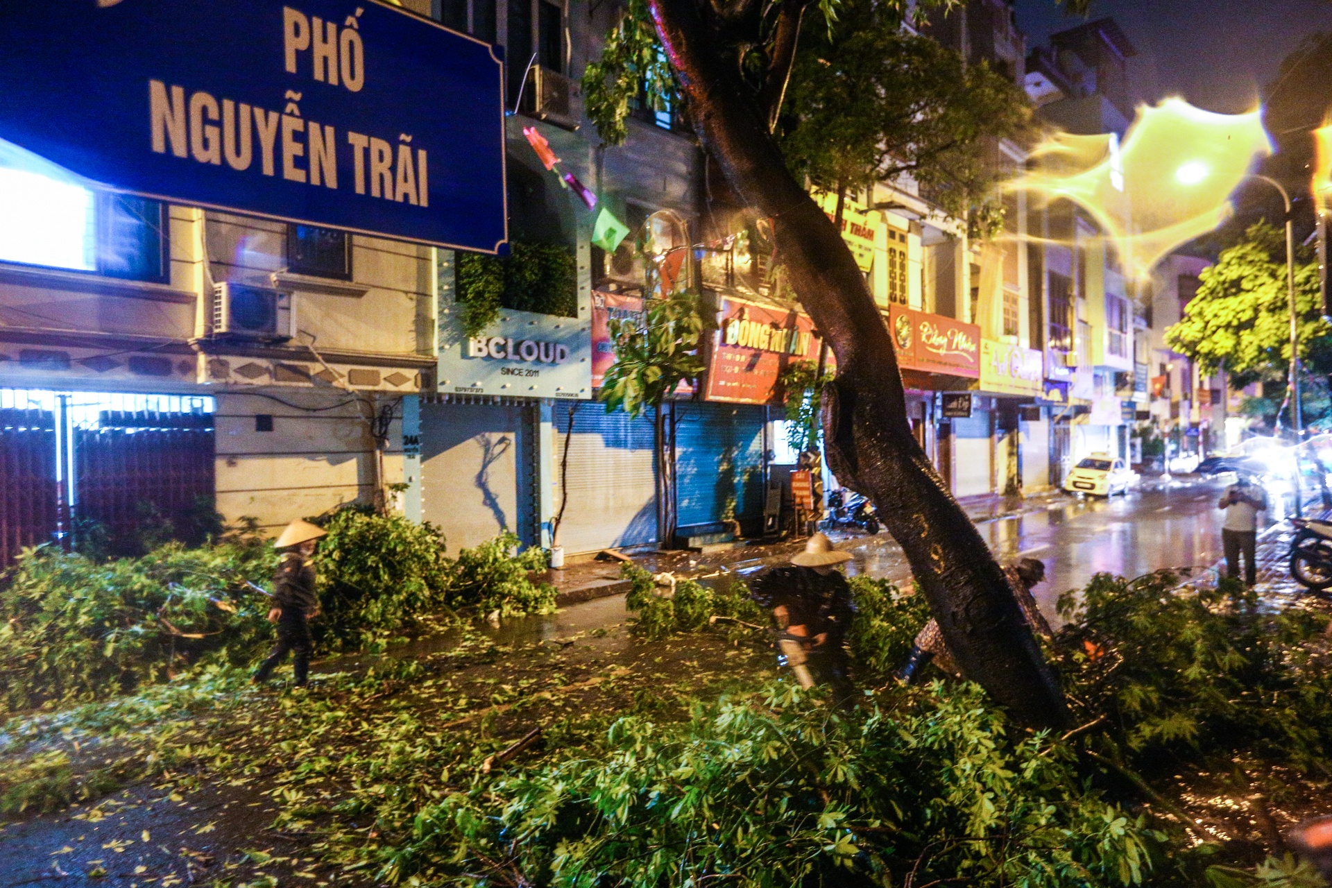 Cay xanh bat goc de bep xe taxi trong mua lon anh 9