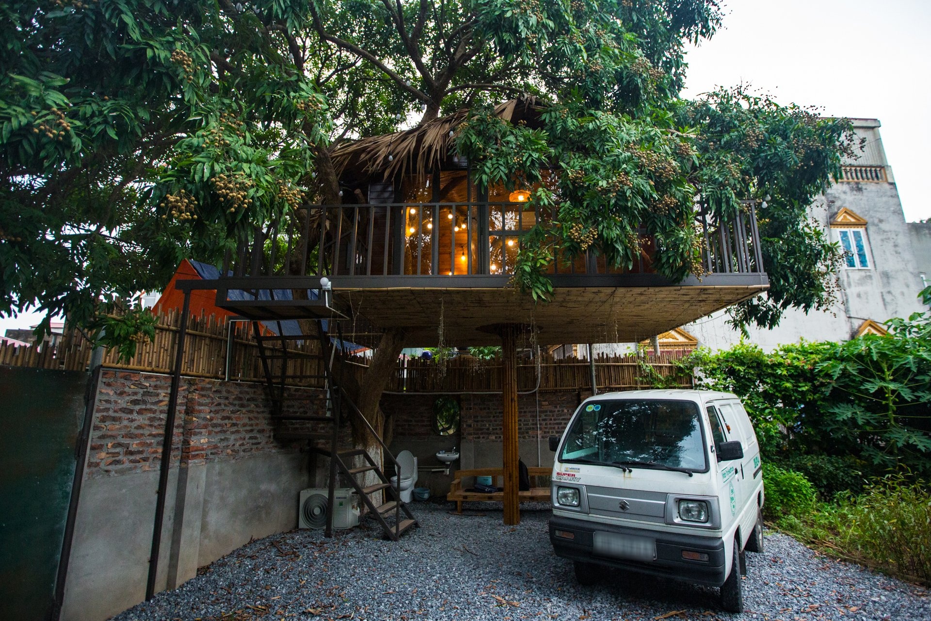 Doc dao ngoi nha tram trieu tren cay o Ha Noi anh 2
