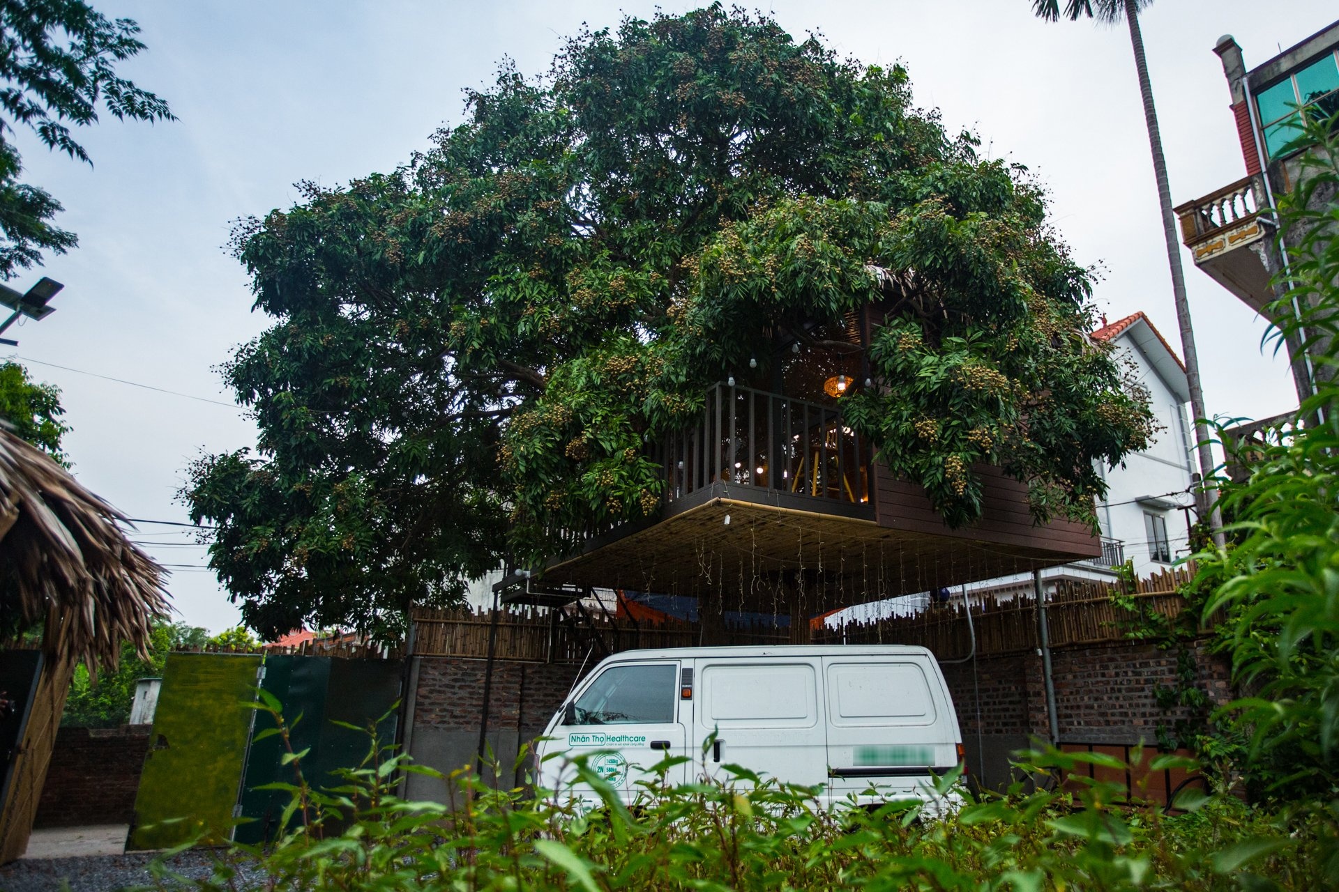 Bo 130 trieu de xay nha tren cay o ngoai thanh Ha Noi hinh anh