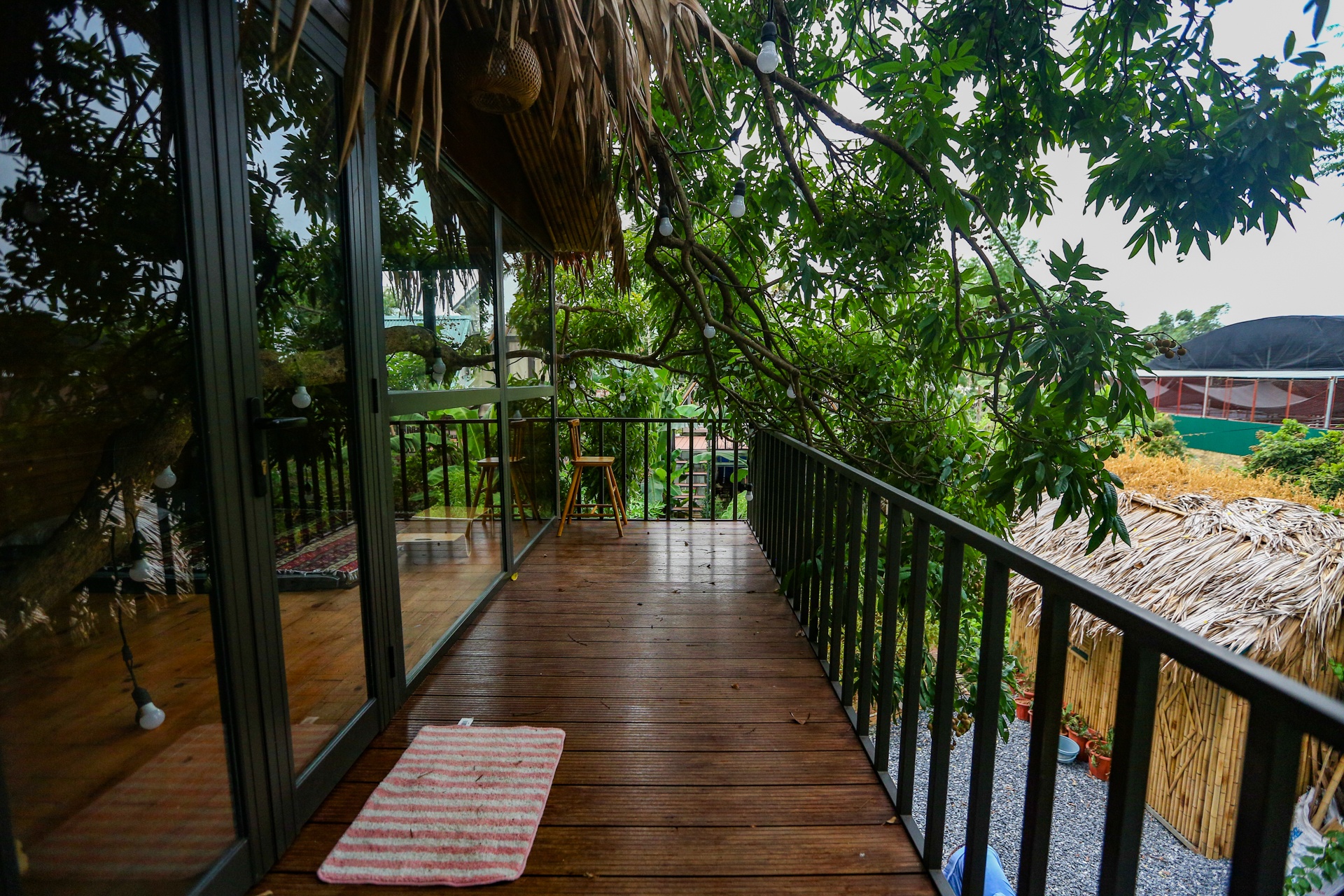 Doc dao ngoi nha tram trieu tren cay o Ha Noi anh 11