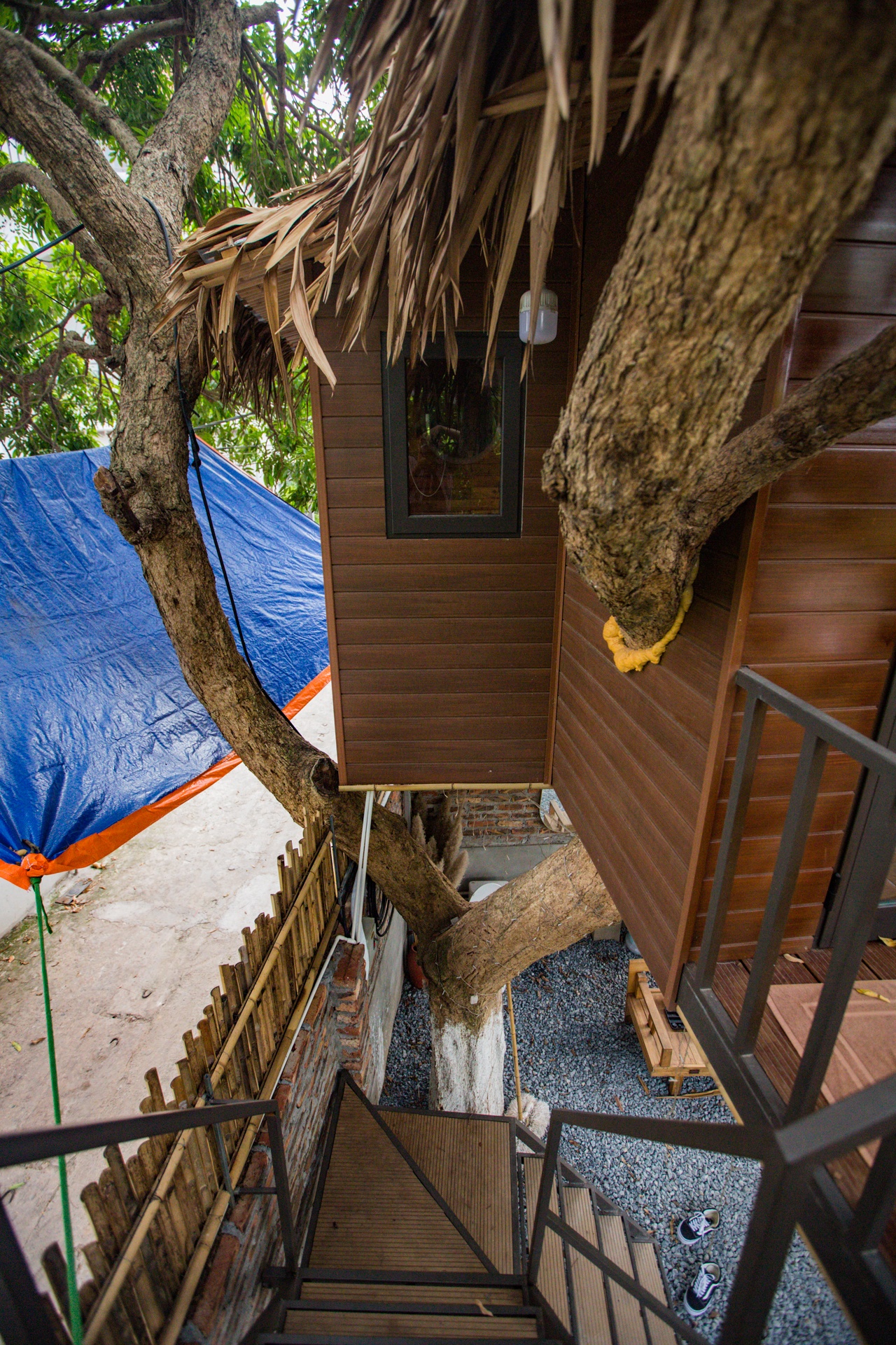 Doc dao ngoi nha tram trieu tren cay o Ha Noi anh 10