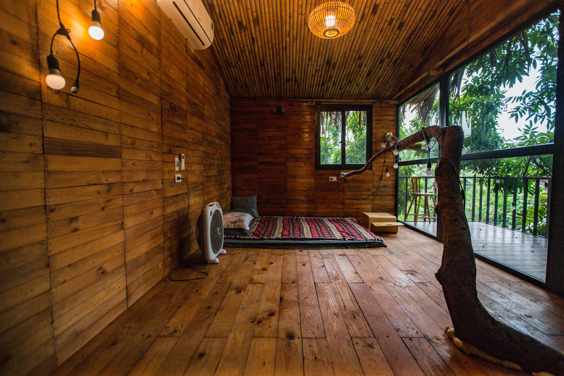 Doc dao ngoi nha tram trieu tren cay o Ha Noi anh 4