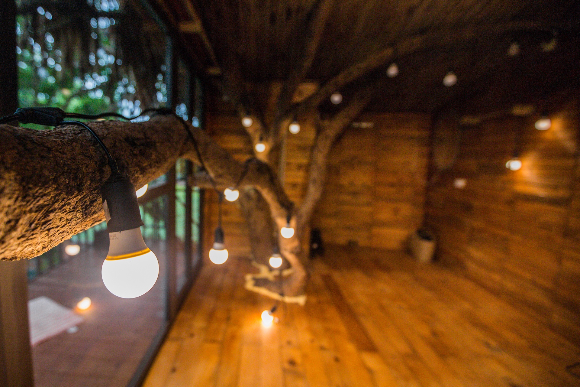 Doc dao ngoi nha tram trieu tren cay o Ha Noi anh 5