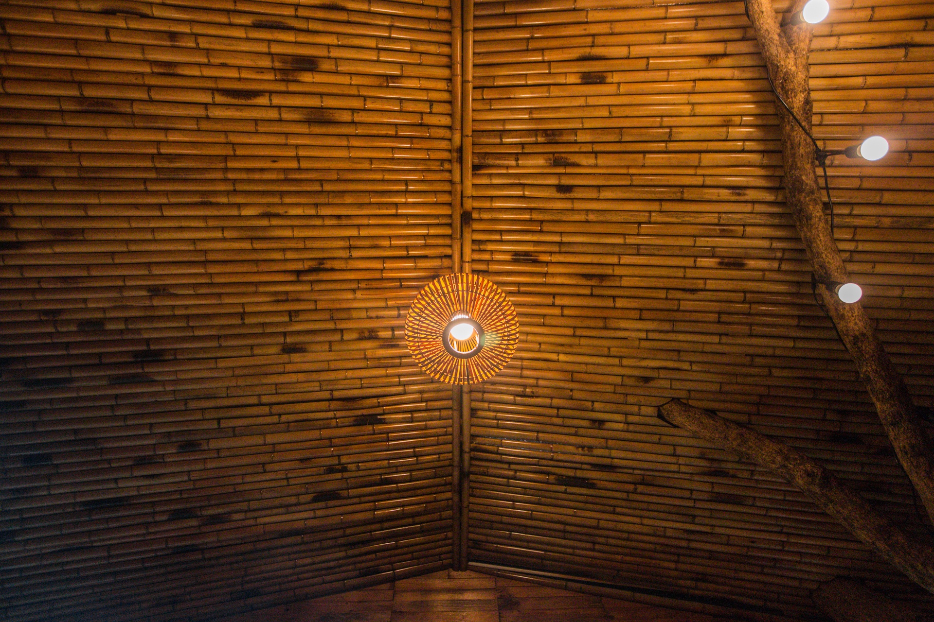 Doc dao ngoi nha tram trieu tren cay o Ha Noi anh 8