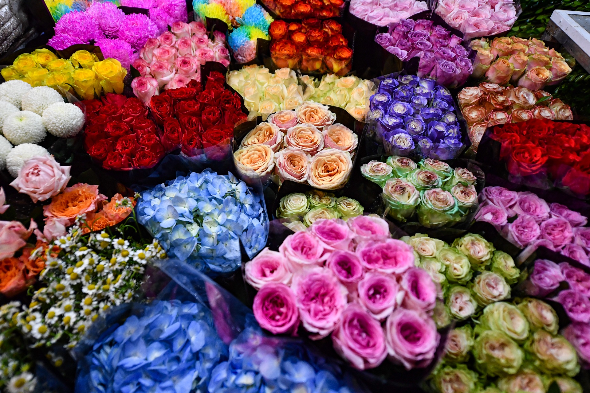 Cho hoa dem Quang An nhon nhip rang sang ngay Phu nu Viet Nam anh 4