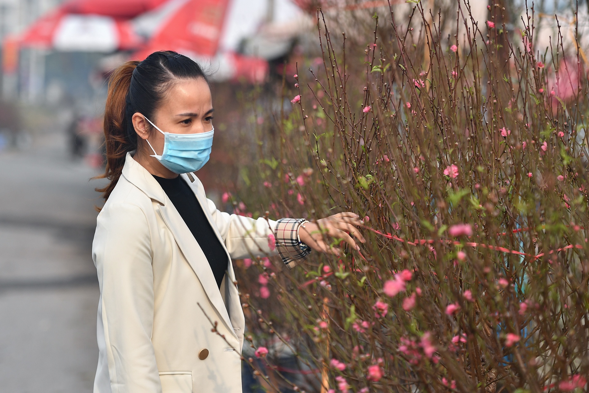 Cho hoa Quang An ruc sac hoa dao truoc le Giang sinh hinh anh