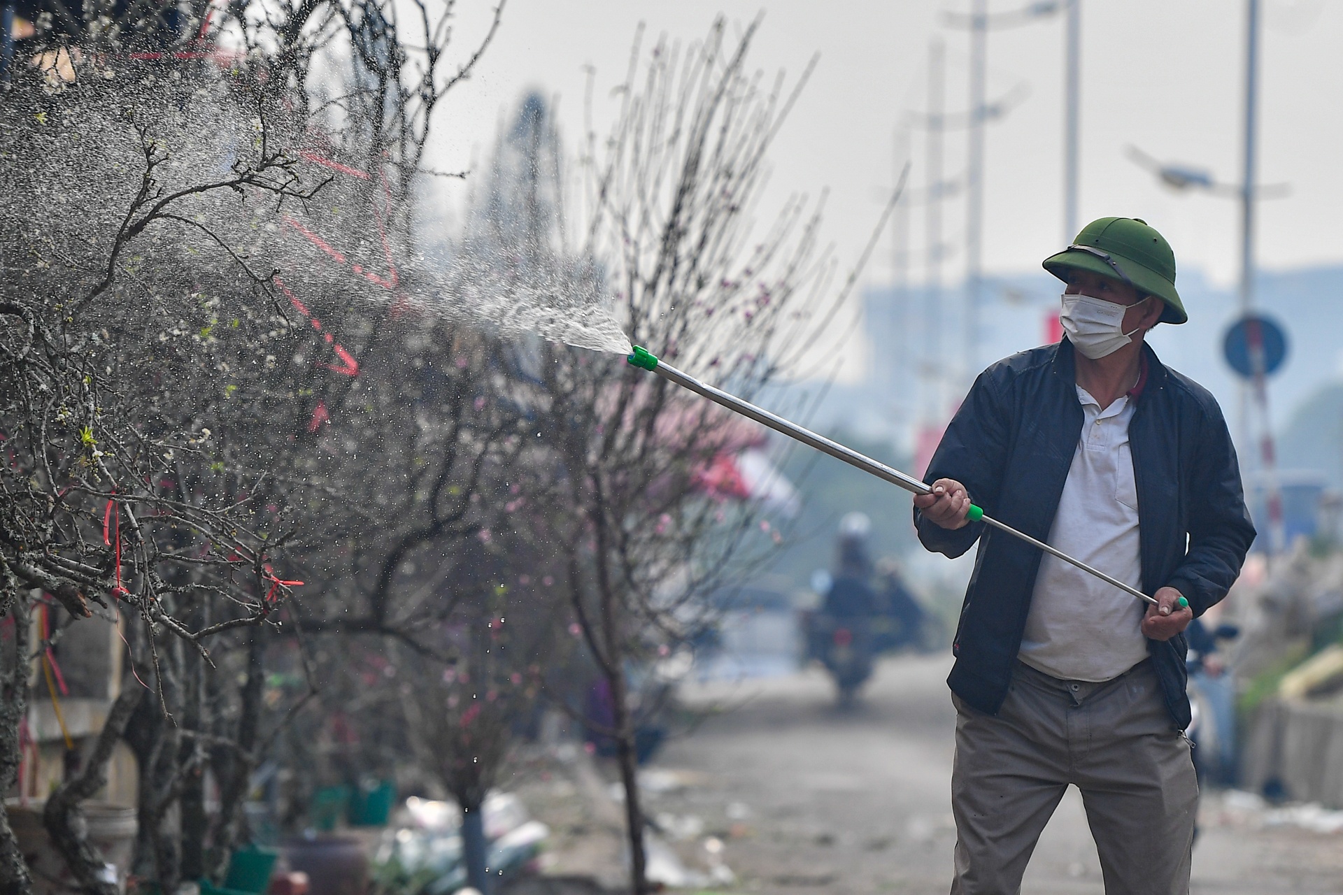 Nguoi Ha Noi mua dao no som choi Tet Duong lich anh 8