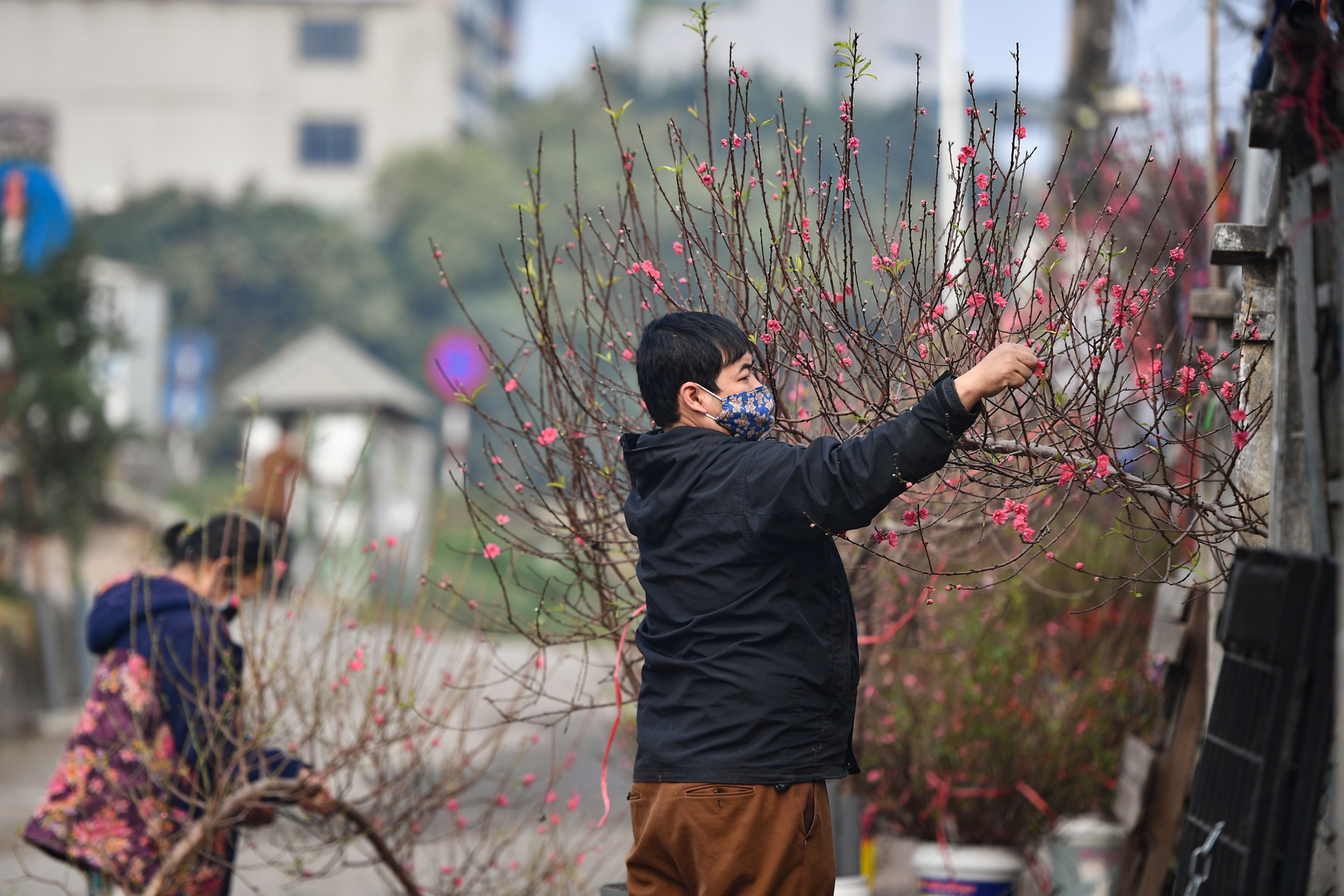 Nguoi Ha Noi mua dao no som choi Tet Duong lich anh 7