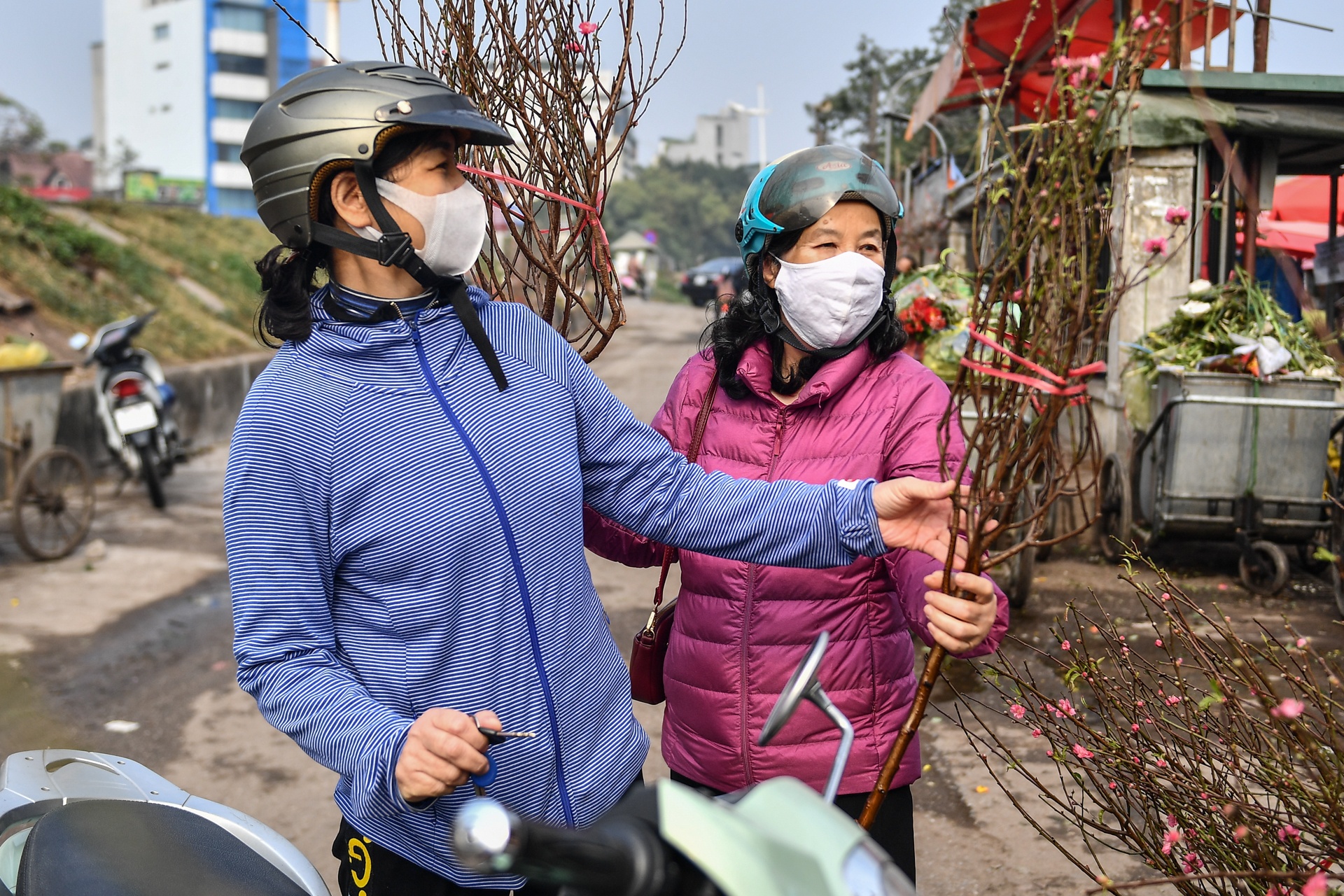 Nguoi Ha Noi mua dao no som choi Tet Duong lich anh 6
