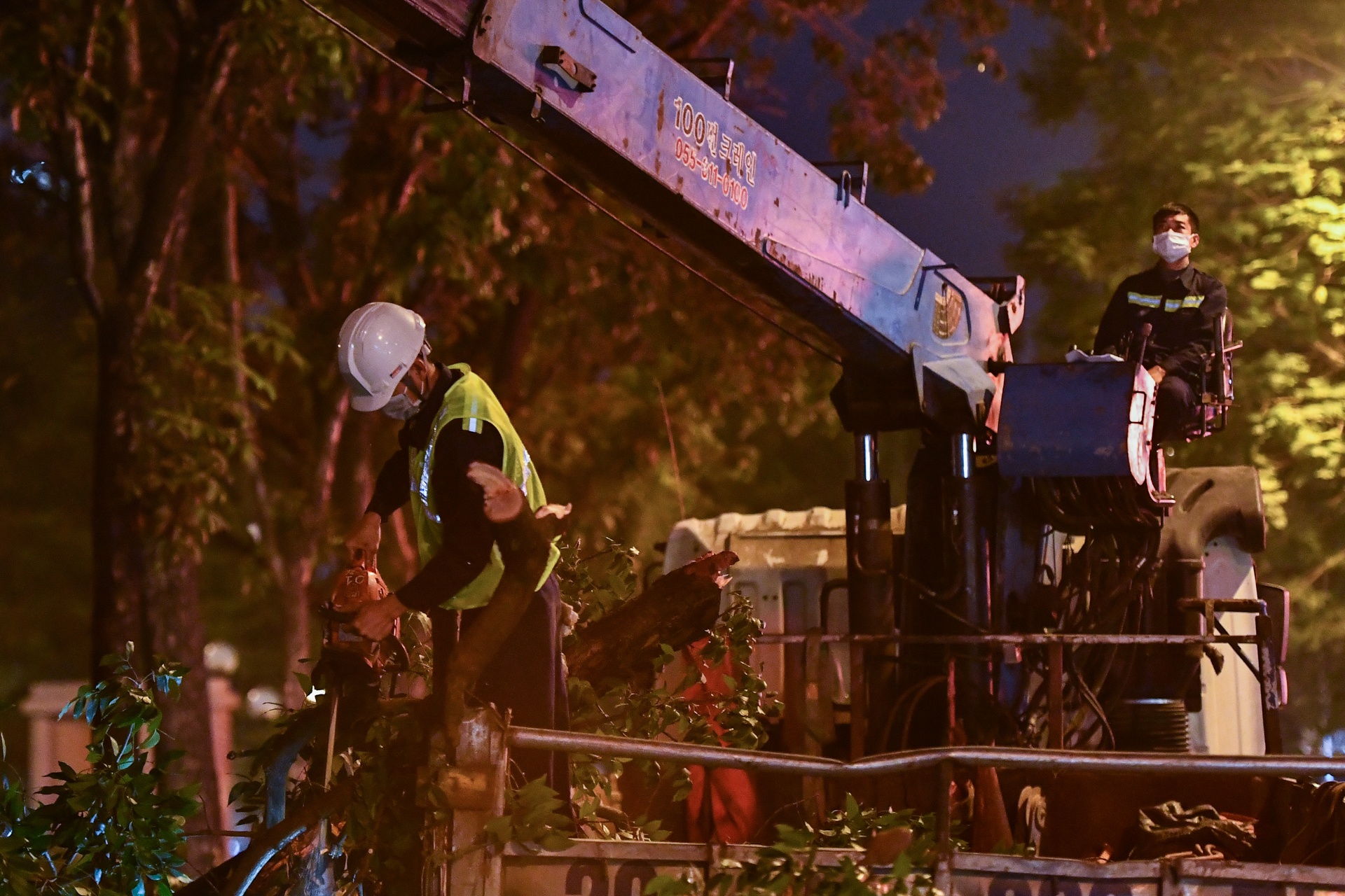 Xuyen dem don ha,  di doi cay xanh anh 1