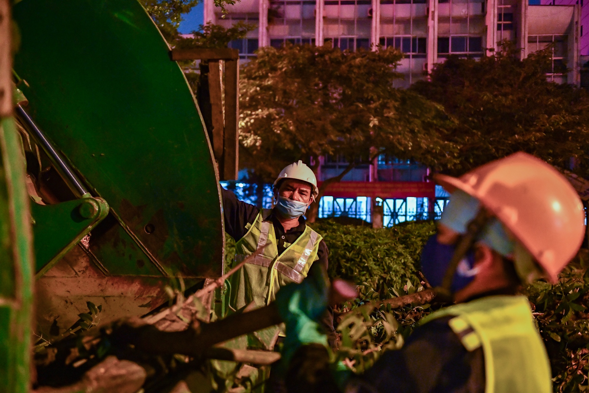 Xuyen dem don ha,  di doi cay xanh anh 4