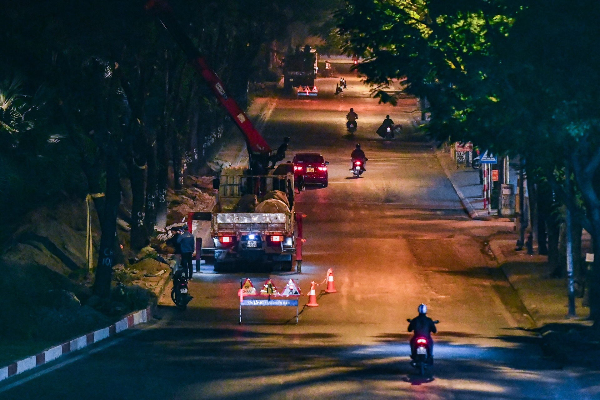 Xuyen dem don ha,  di doi cay xanh anh 9