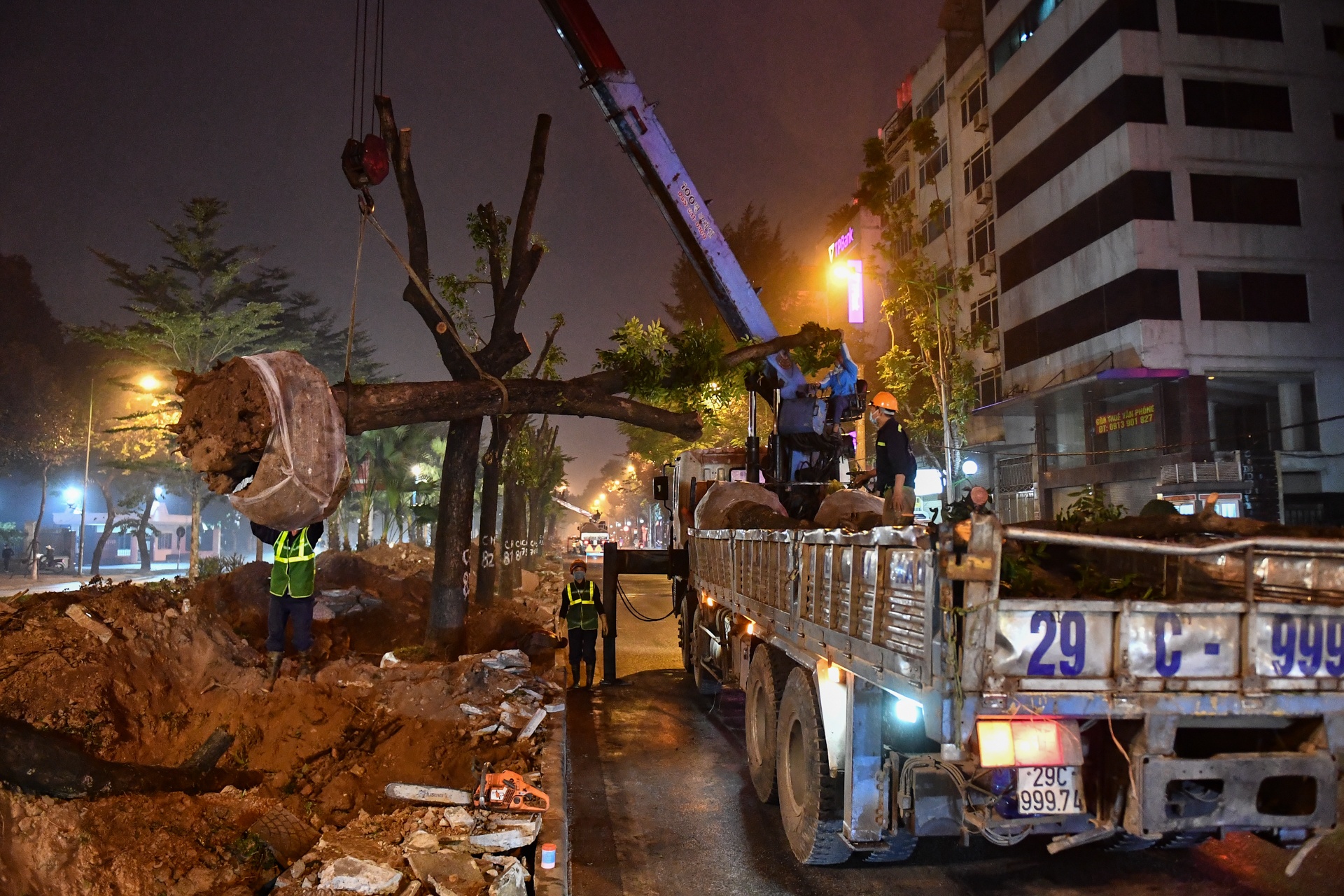 Xuyen dem don ha,  di doi cay xanh anh 7