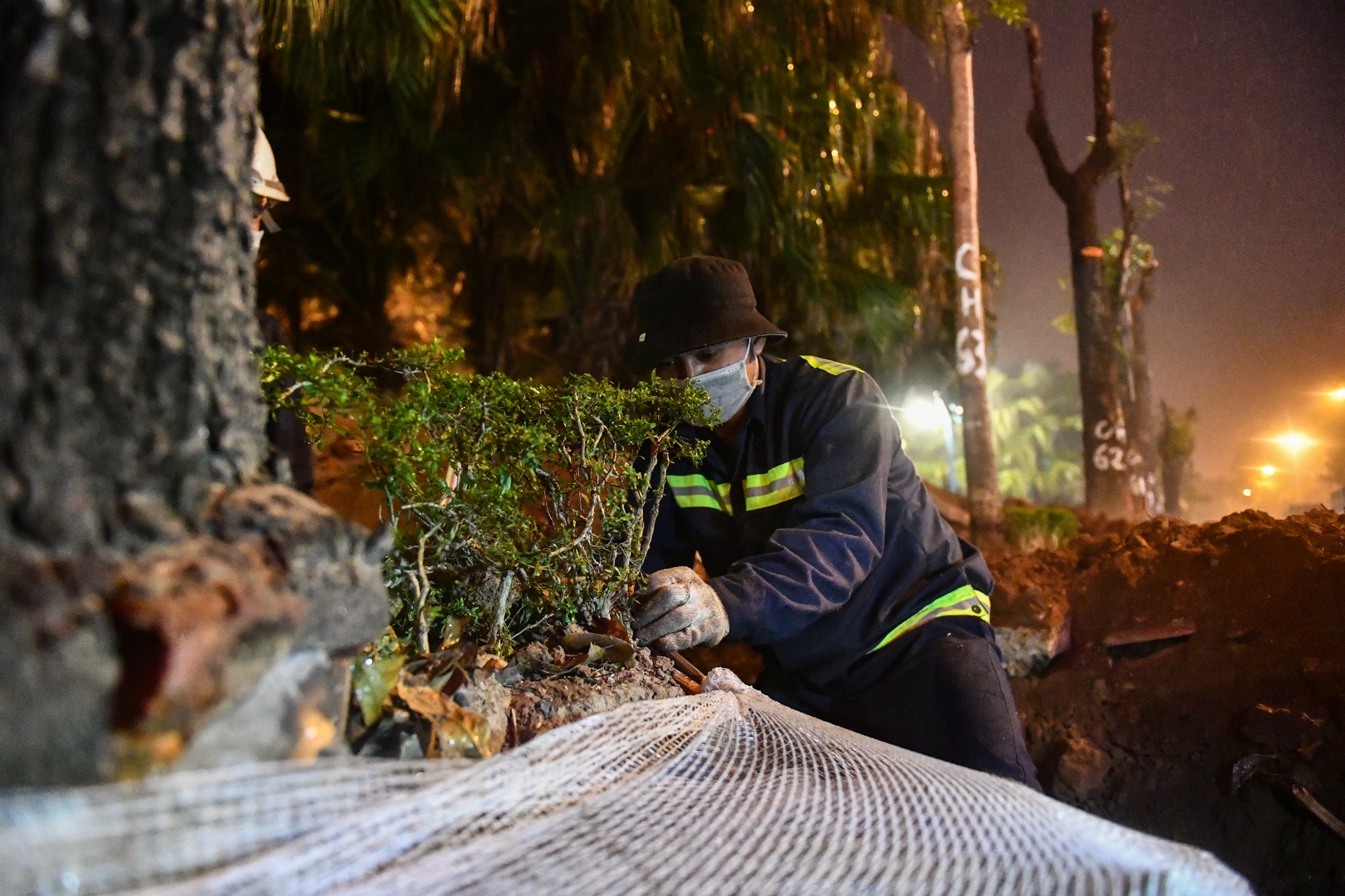 Xuyen dem don ha,  di doi cay xanh anh 6