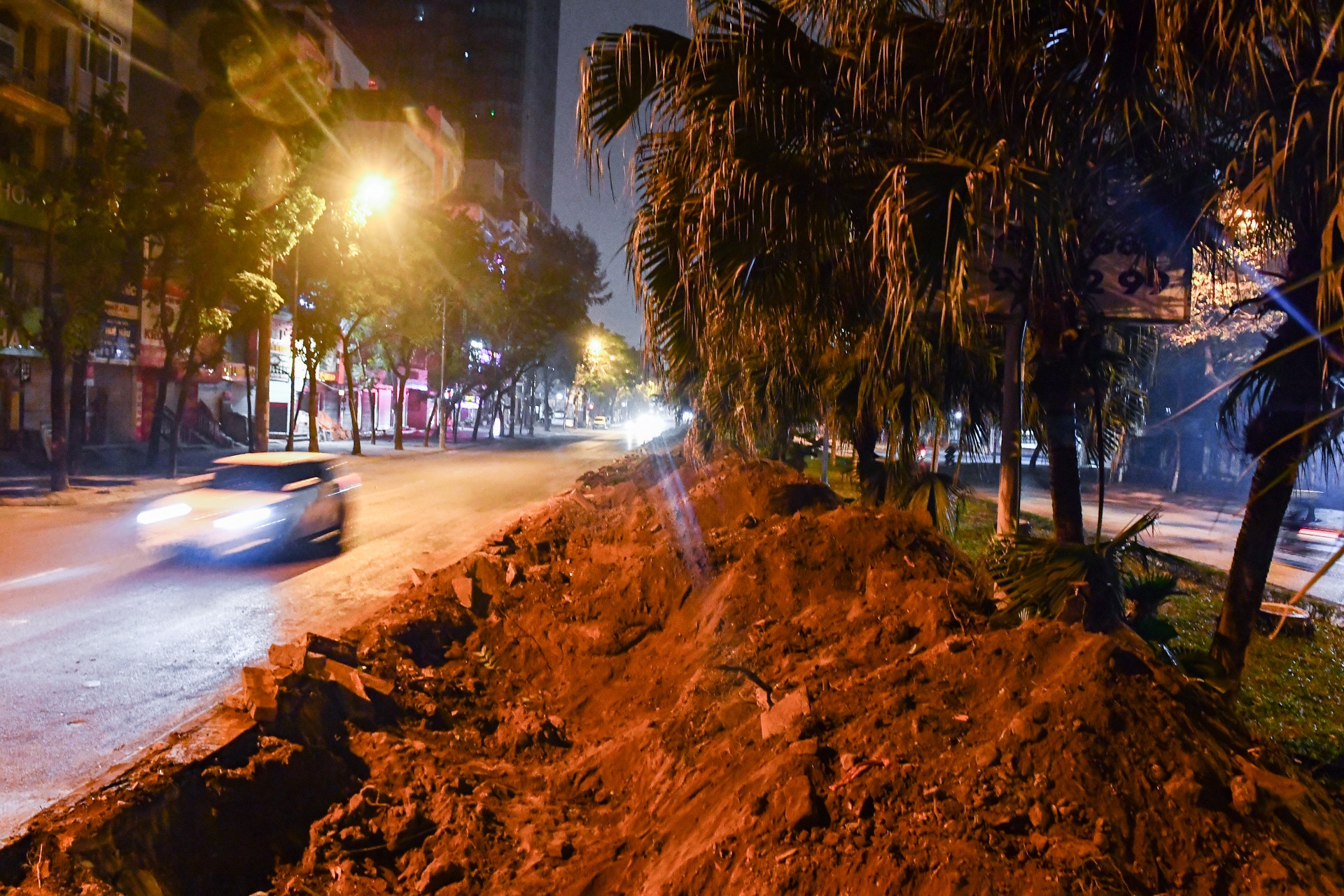 Xuyen dem don ha,  di doi cay xanh anh 8