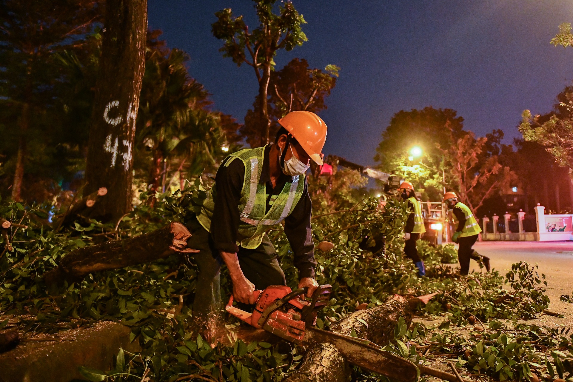 Don ha, di doi hon 400 cay xanh de mo rong duong o Ha Noi hinh anh
