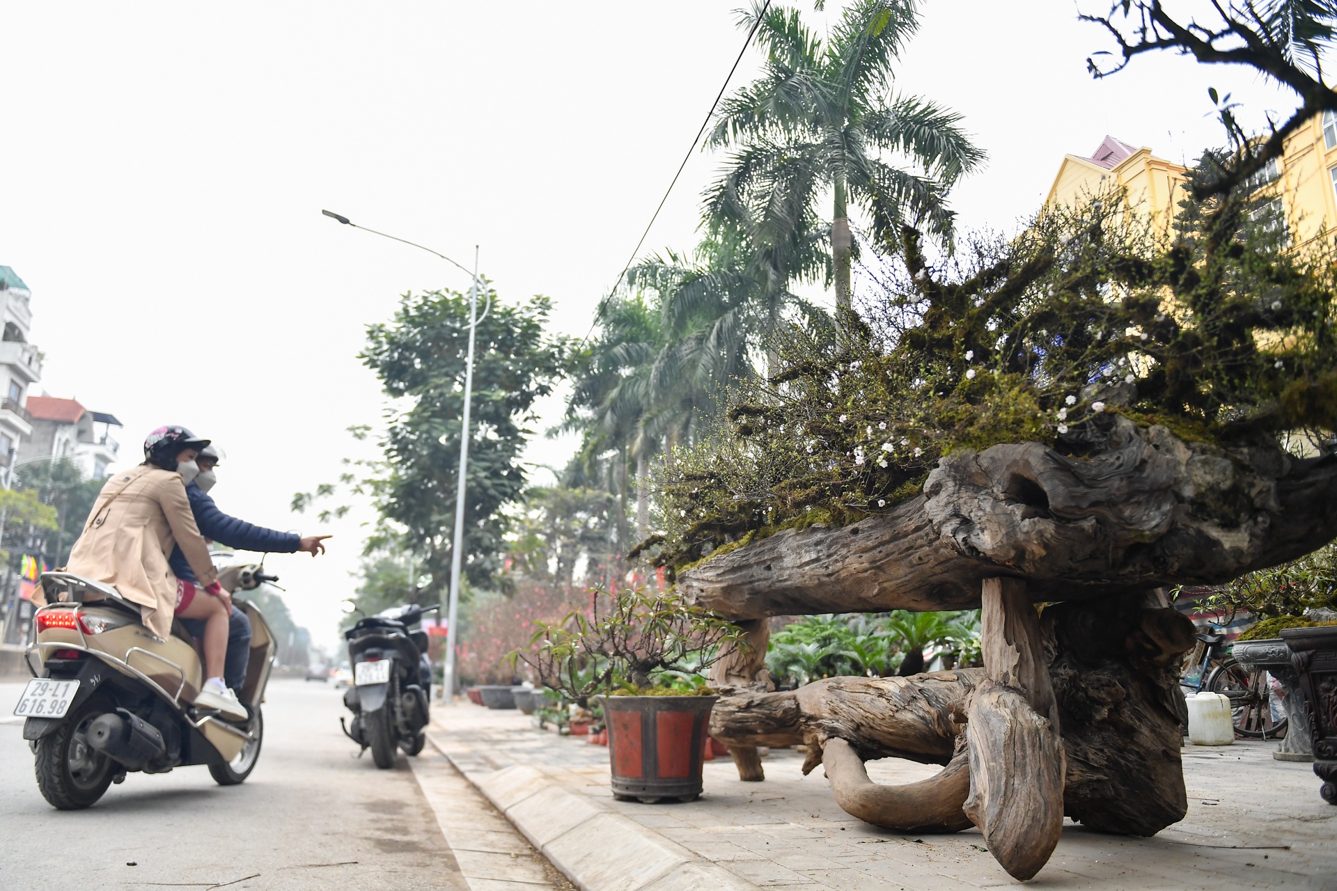 Mai boc reu tren thuyen doc moc gia 300 trieu o Ha Noi anh 5