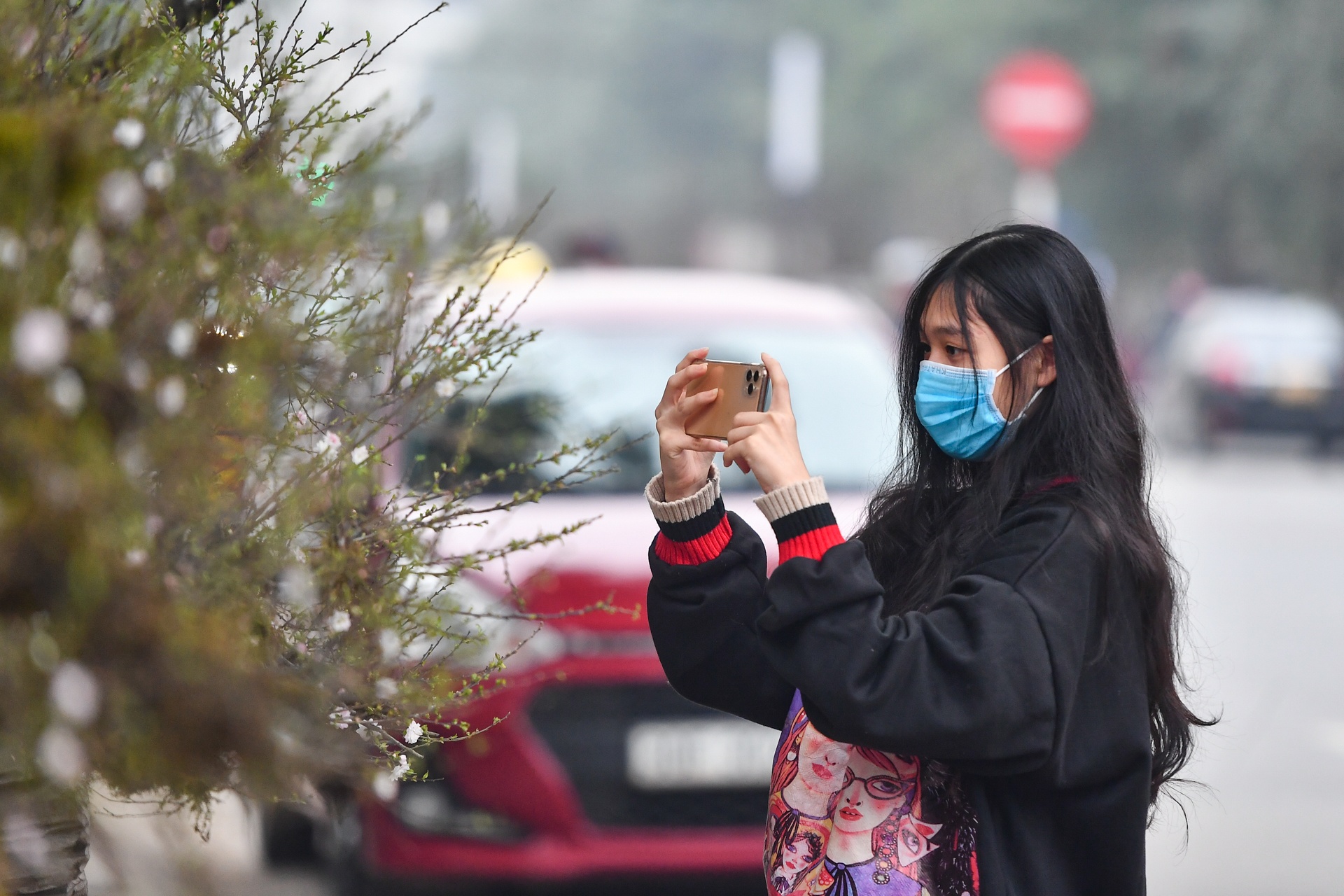 Mai boc reu tren thuyen doc moc gia 300 trieu o Ha Noi anh 6