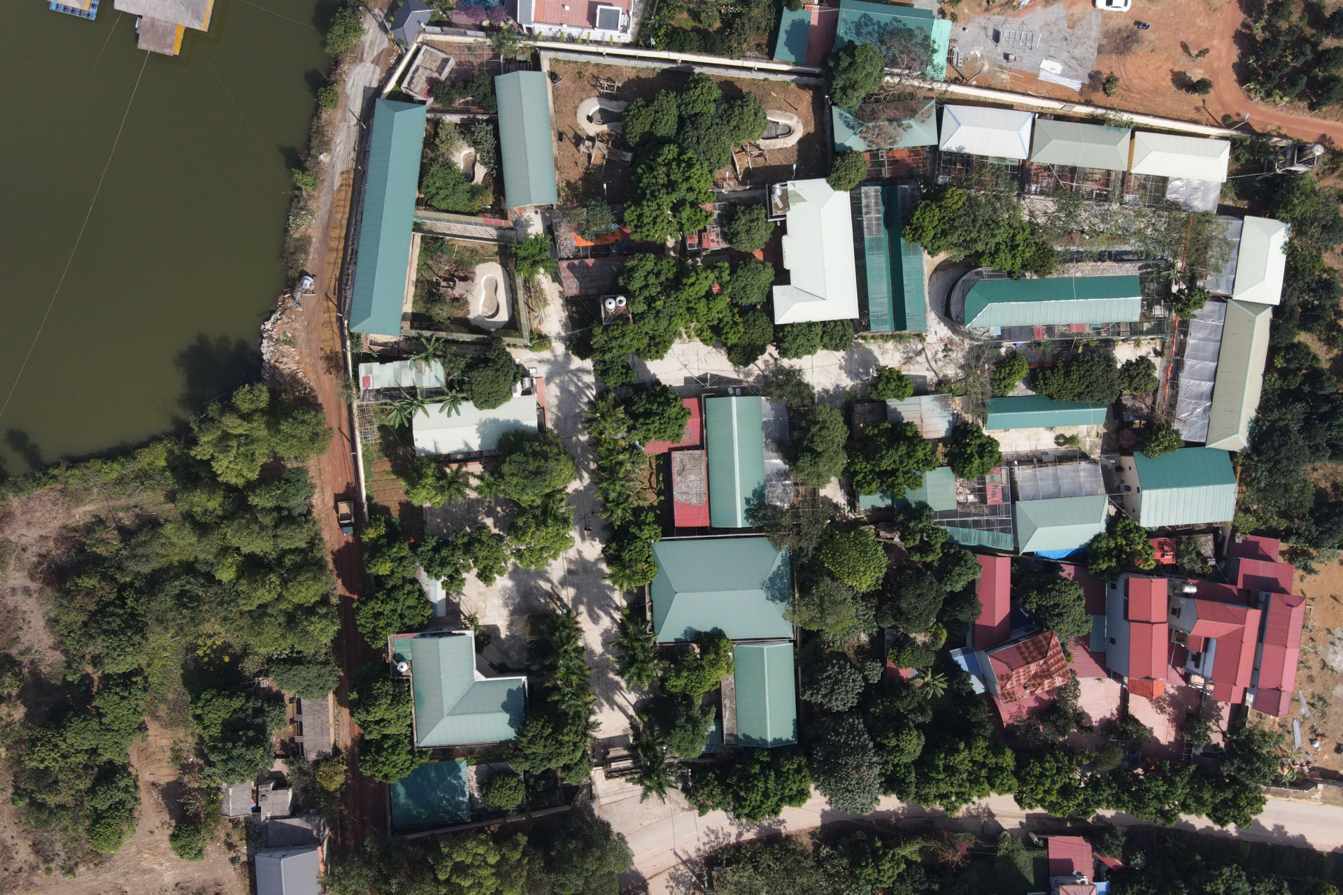 Chuyen ve nhung chua son lam duoc giai cuu anh 20