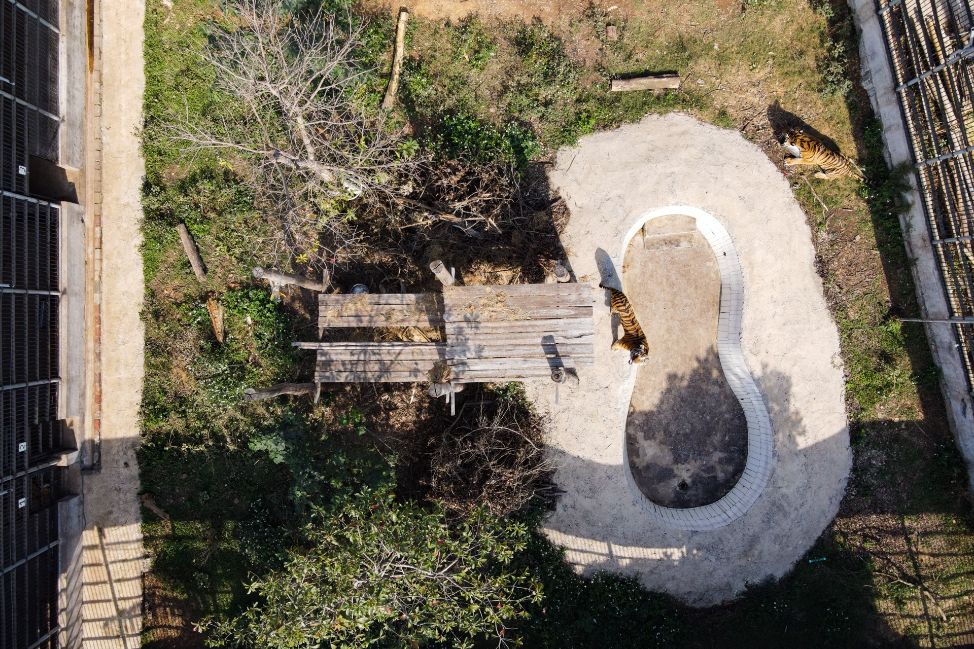 Chuyen ve nhung chua son lam duoc giai cuu anh 21