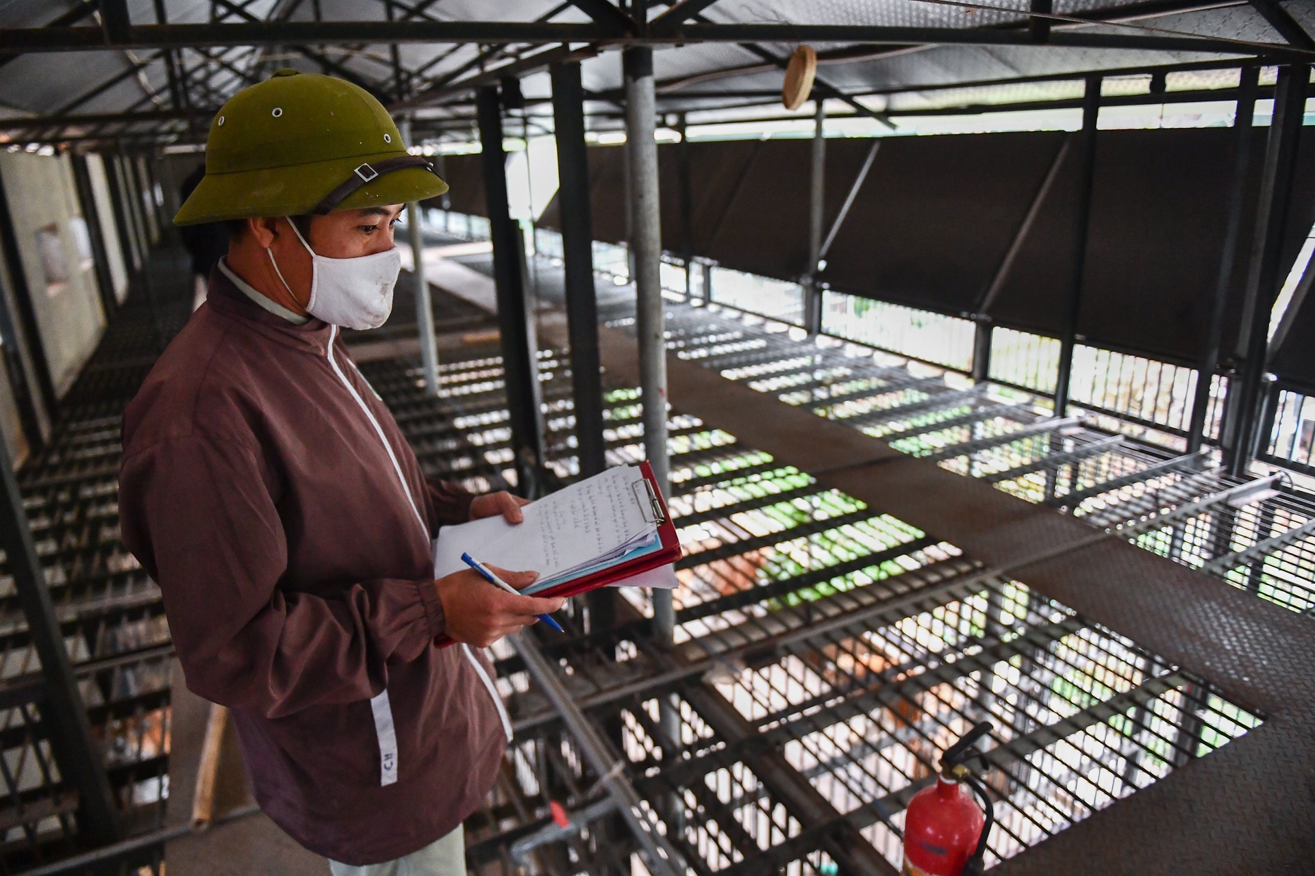 Chuyen ve nhung chua son lam duoc giai cuu anh 6