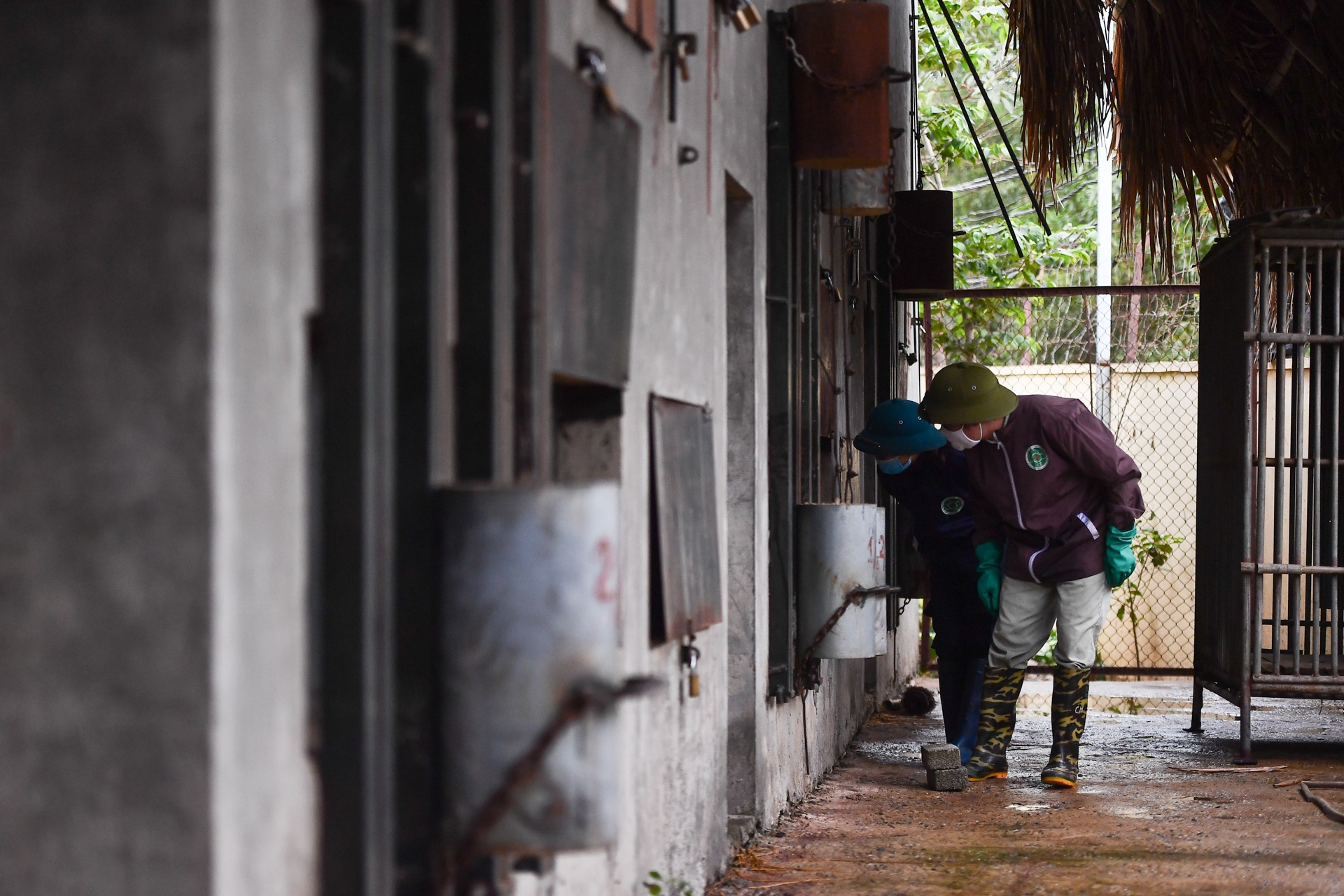 Chuyen ve nhung chua son lam duoc giai cuu anh 24