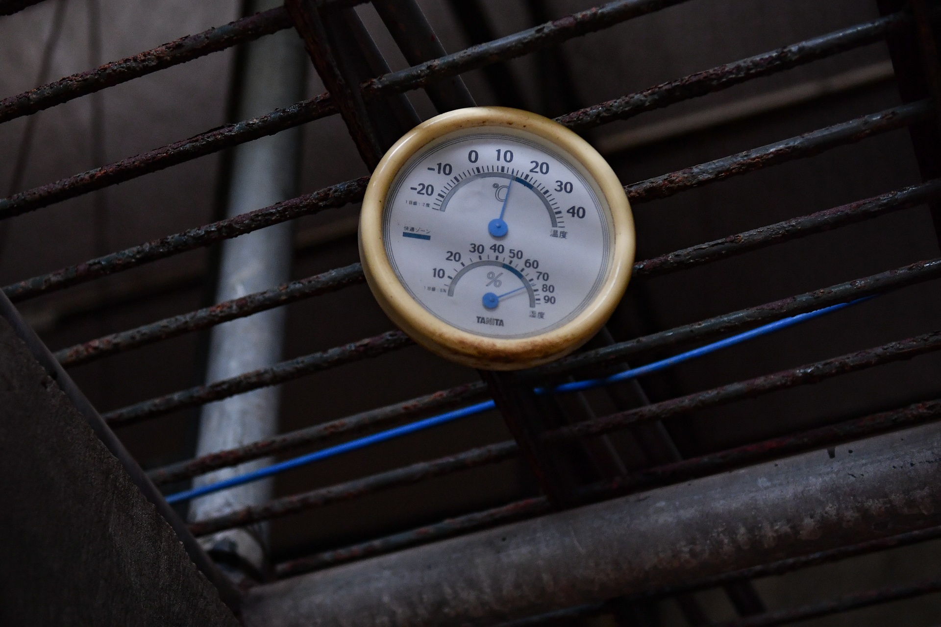 Chuyen ve nhung chua son lam duoc giai cuu anh 25