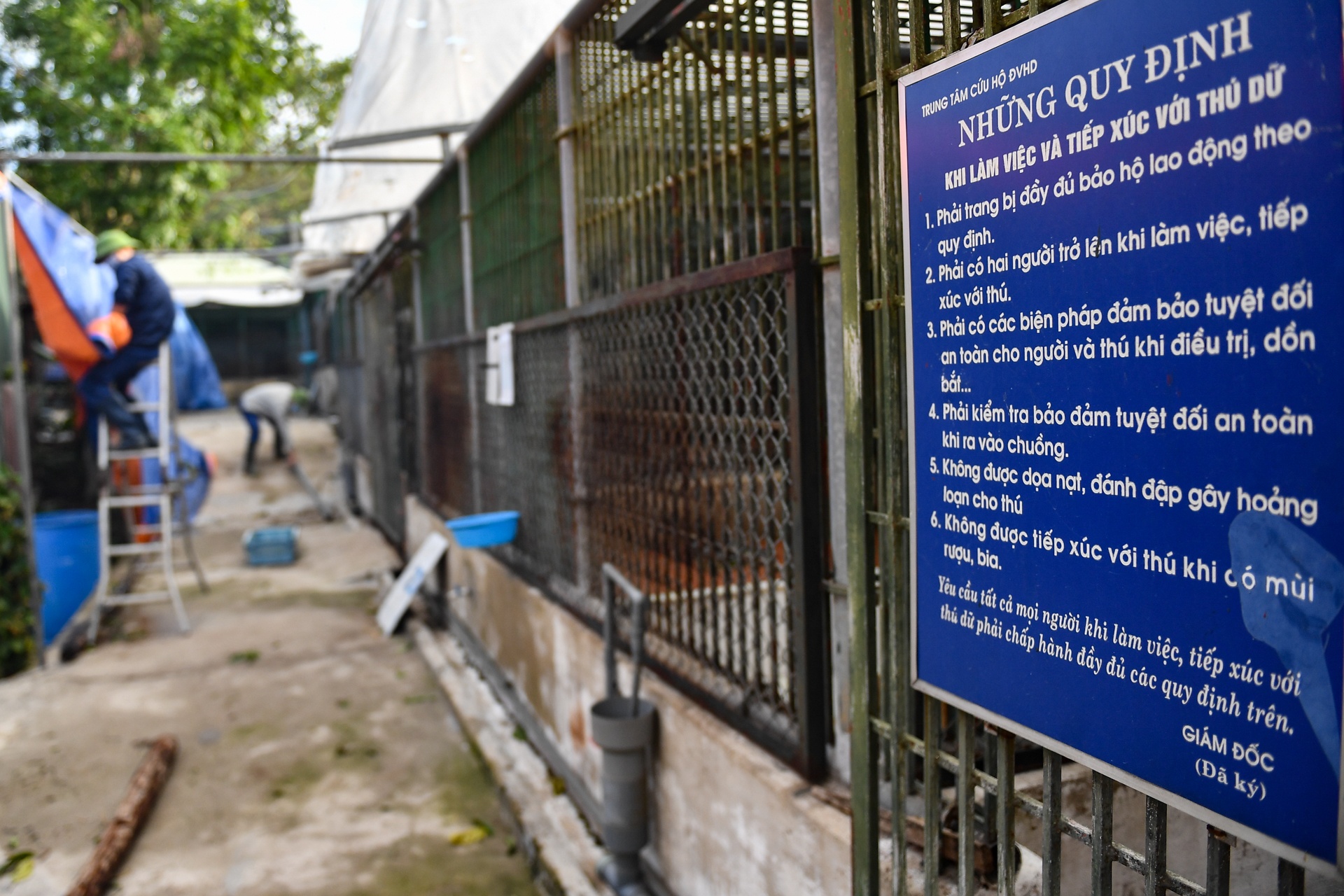 Chuyen ve nhung chua son lam duoc giai cuu anh 26