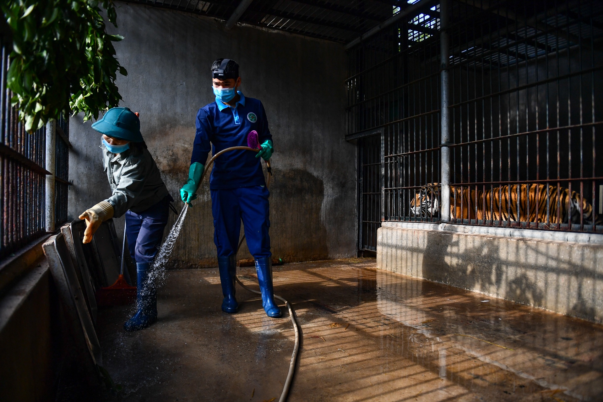 Chuyen ve nhung chua son lam duoc giai cuu anh 8