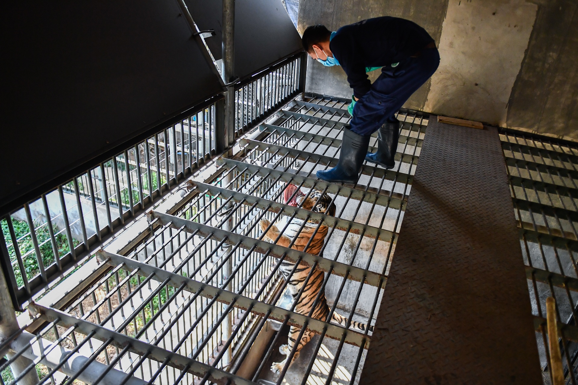 Chuyen ve nhung chua son lam duoc giai cuu anh 17