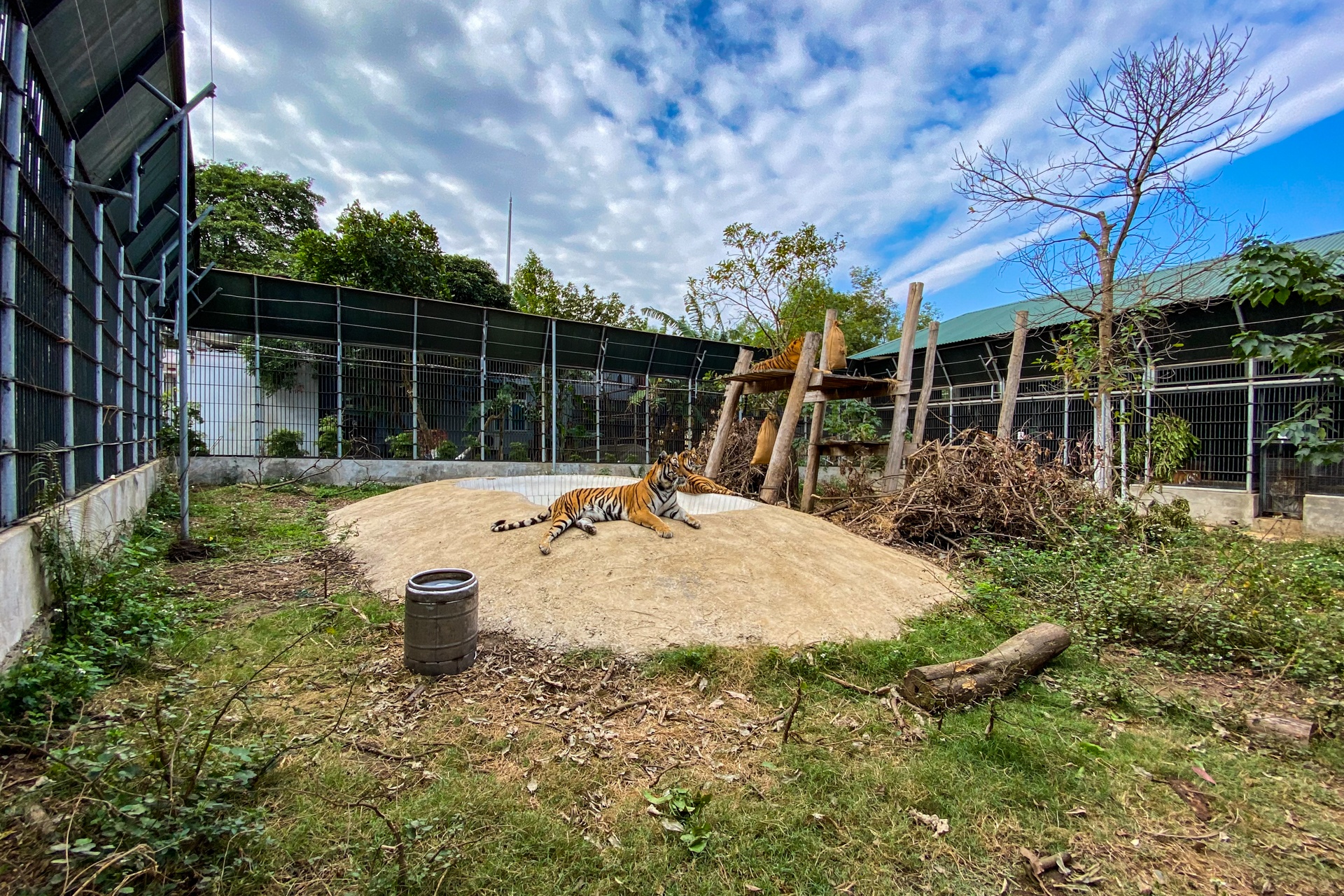 Chuyen ve nhung chua son lam duoc giai cuu anh 10