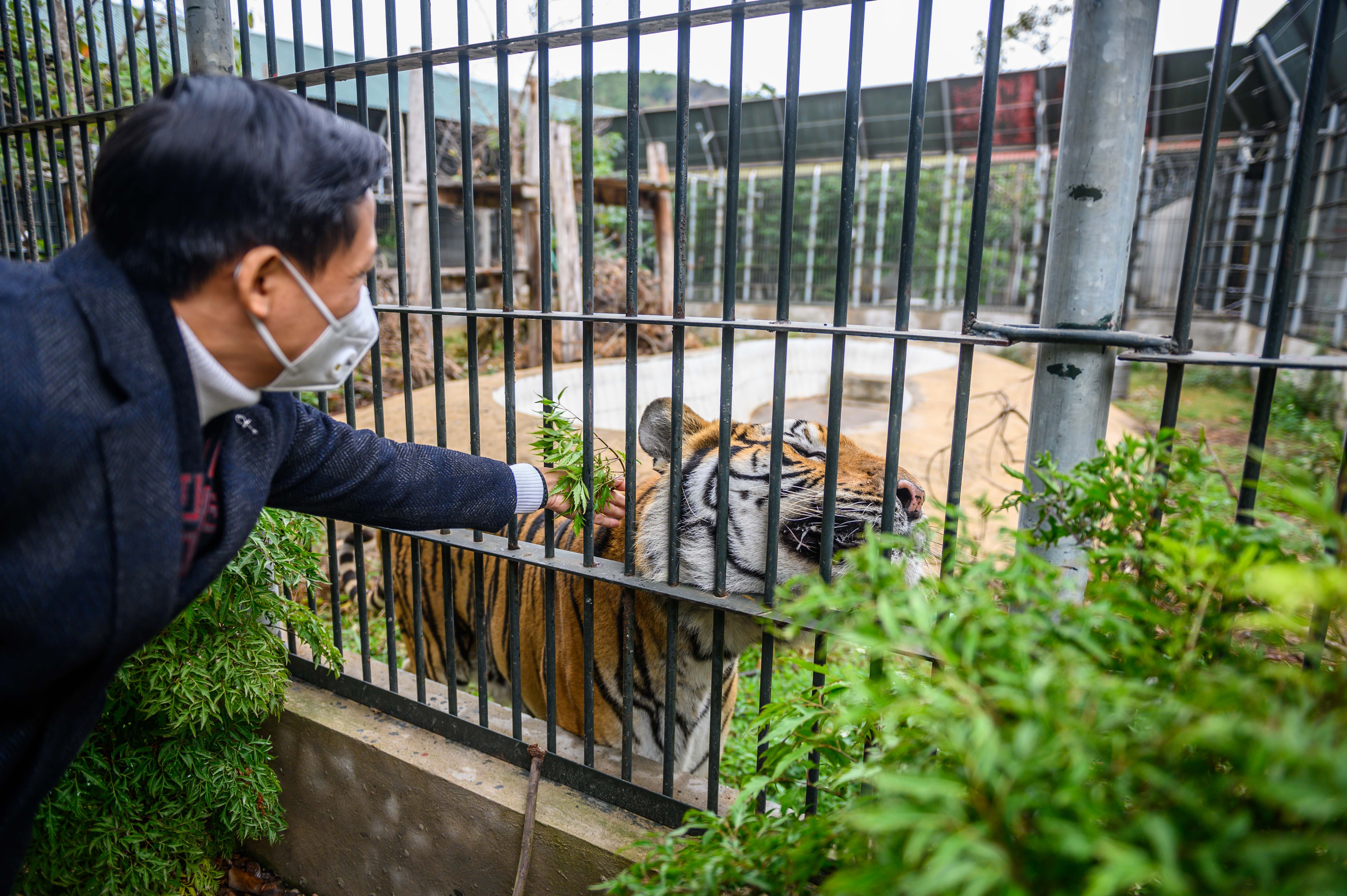 Chuyen ve nhung chua son lam duoc giai cuu anh 1