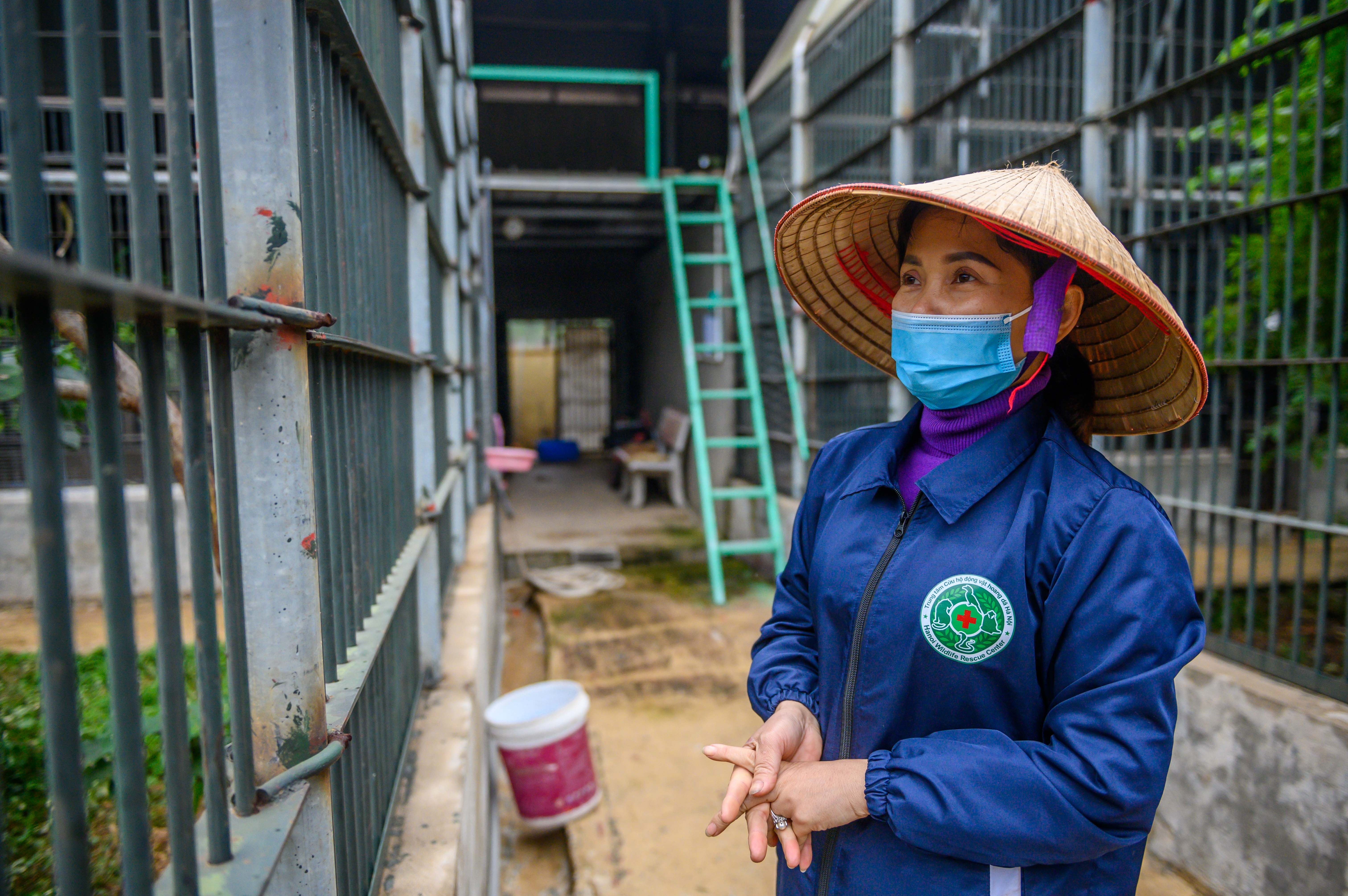 Chuyen ve nhung chua son lam duoc giai cuu anh 5