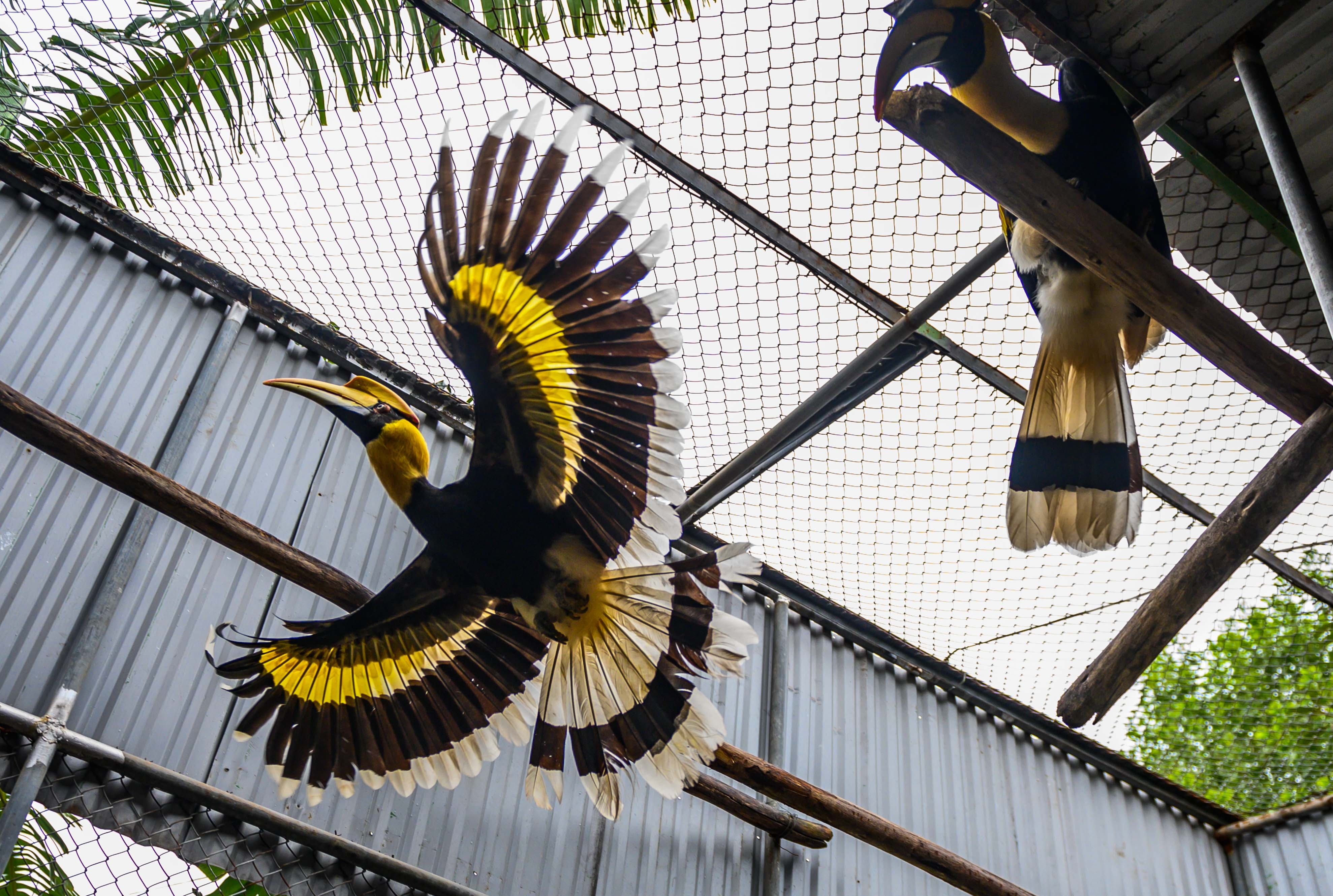 Chuyen ve nhung chua son lam duoc giai cuu anh 40