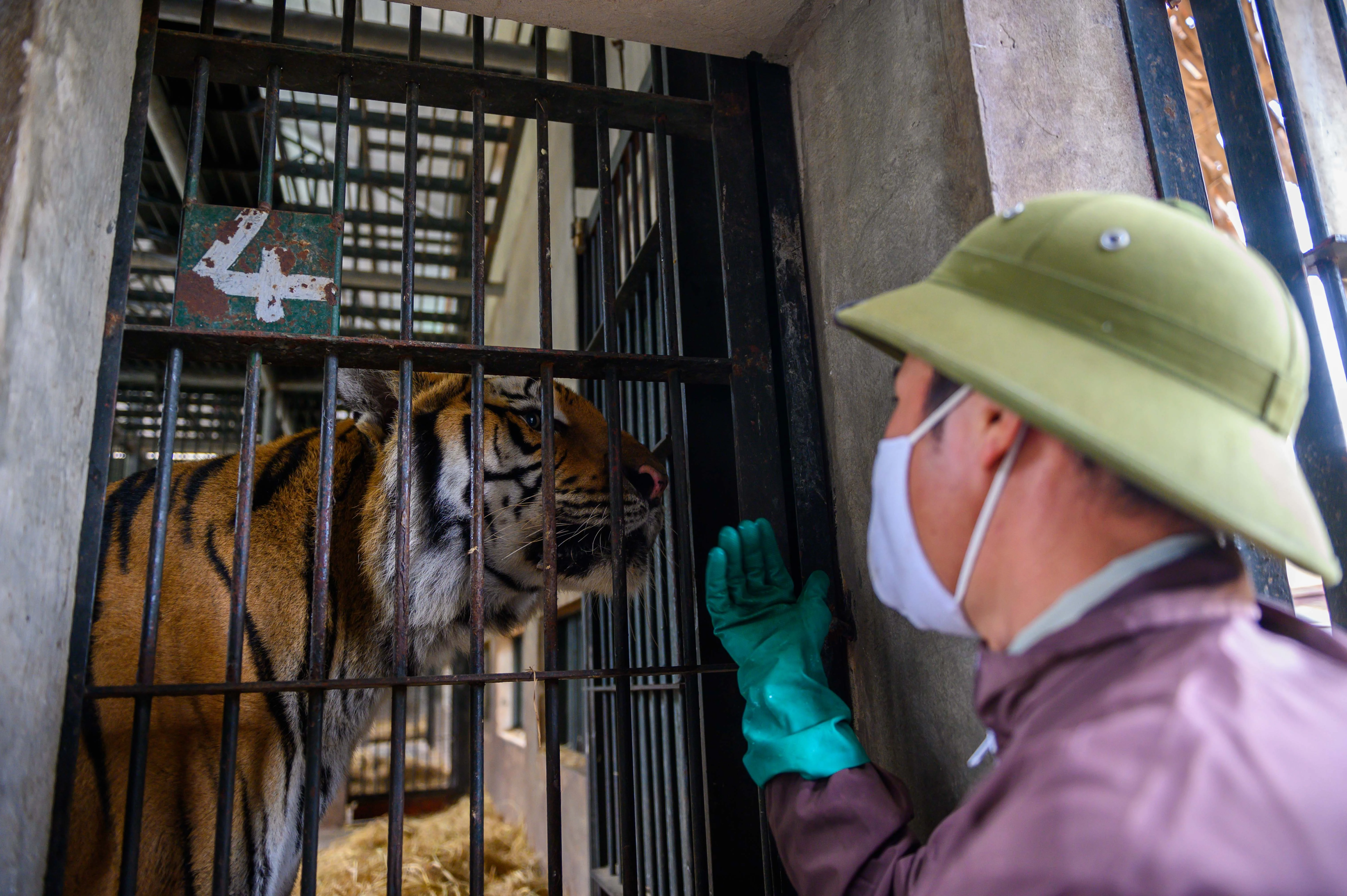 Chuyen ve nhung chua son lam duoc giai cuu anh 19