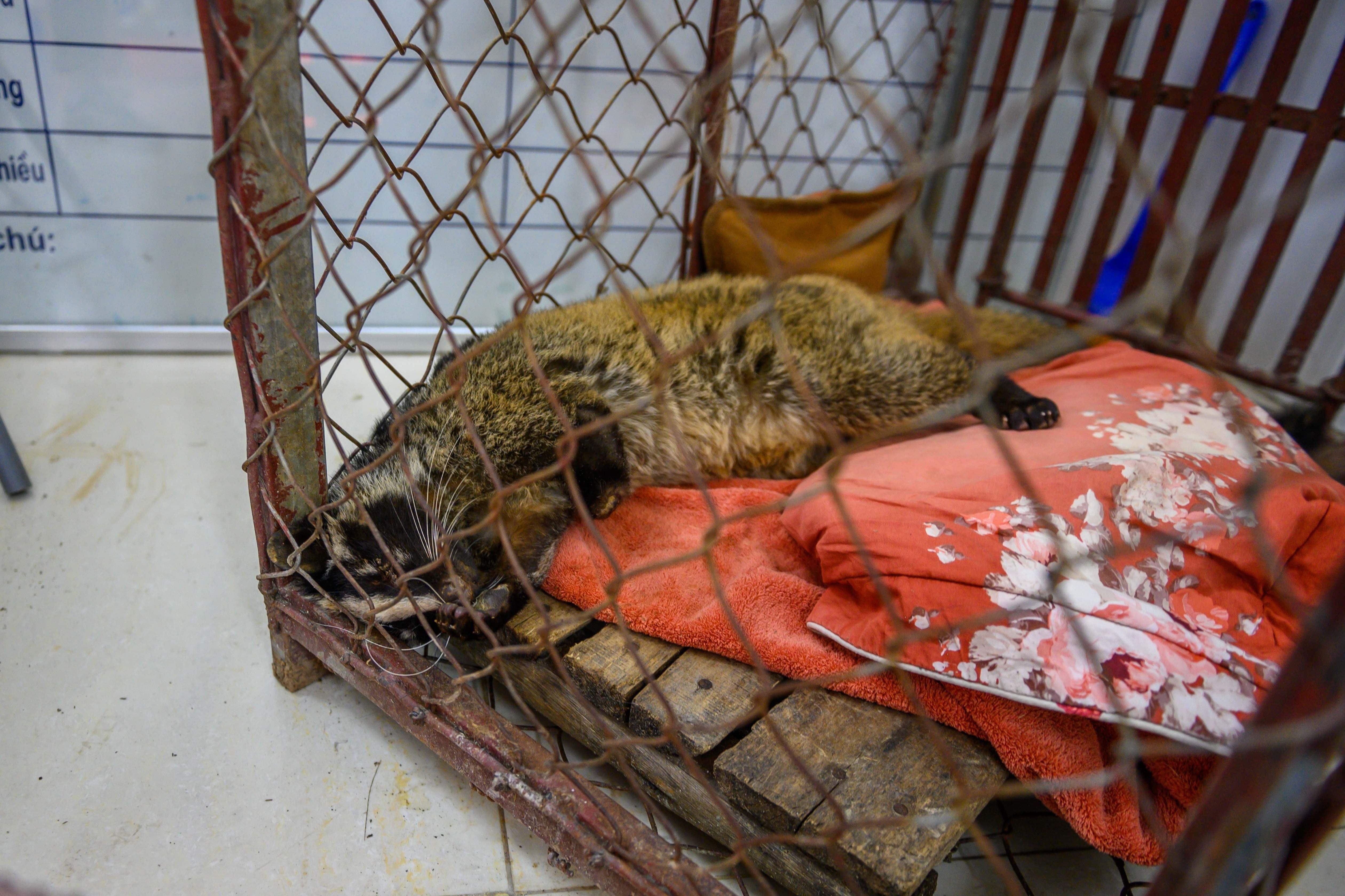 Chuyen ve nhung chua son lam duoc giai cuu anh 38